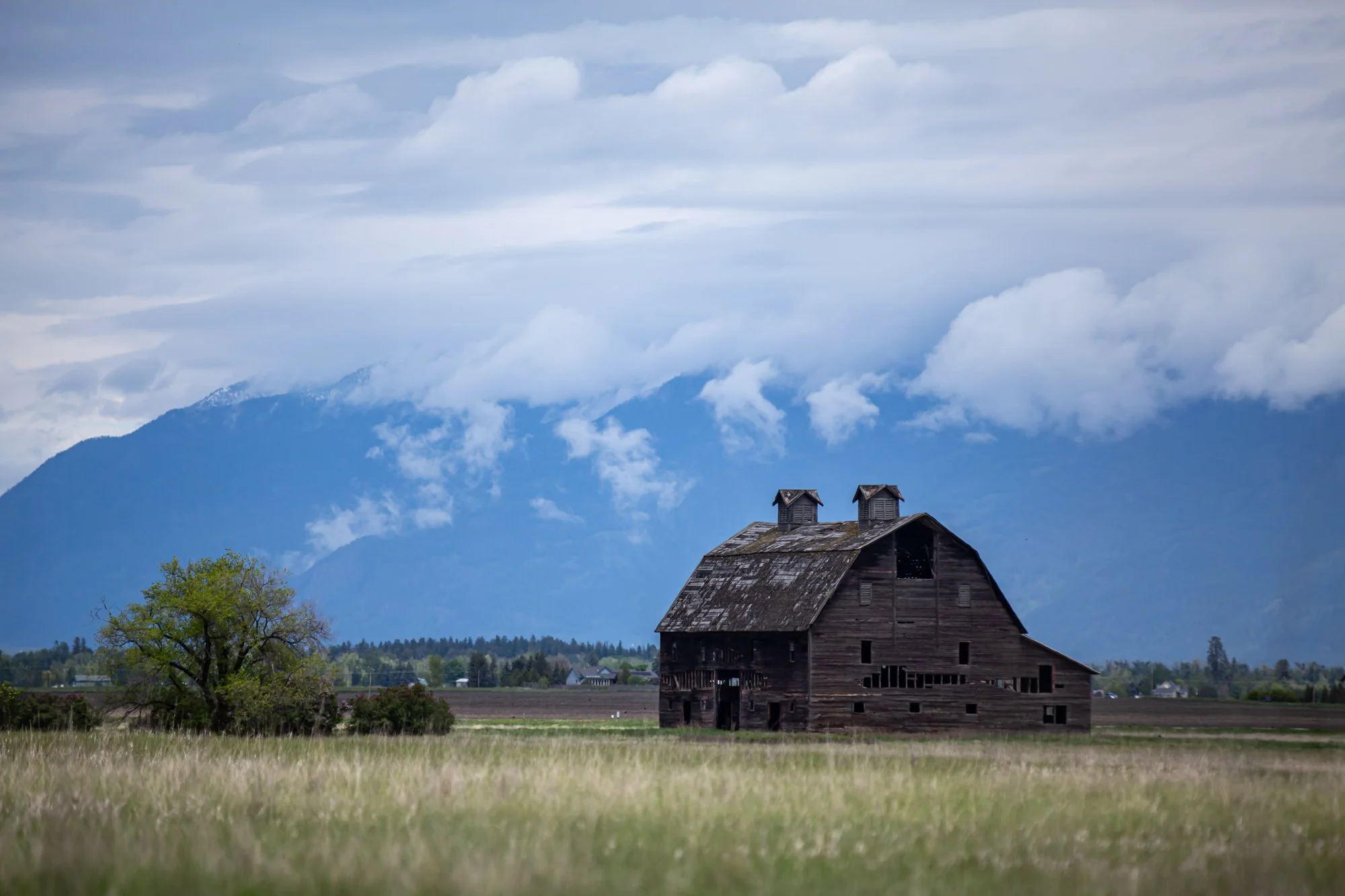 WFO Barn Tours Scout - Spring 2024-201.jpg