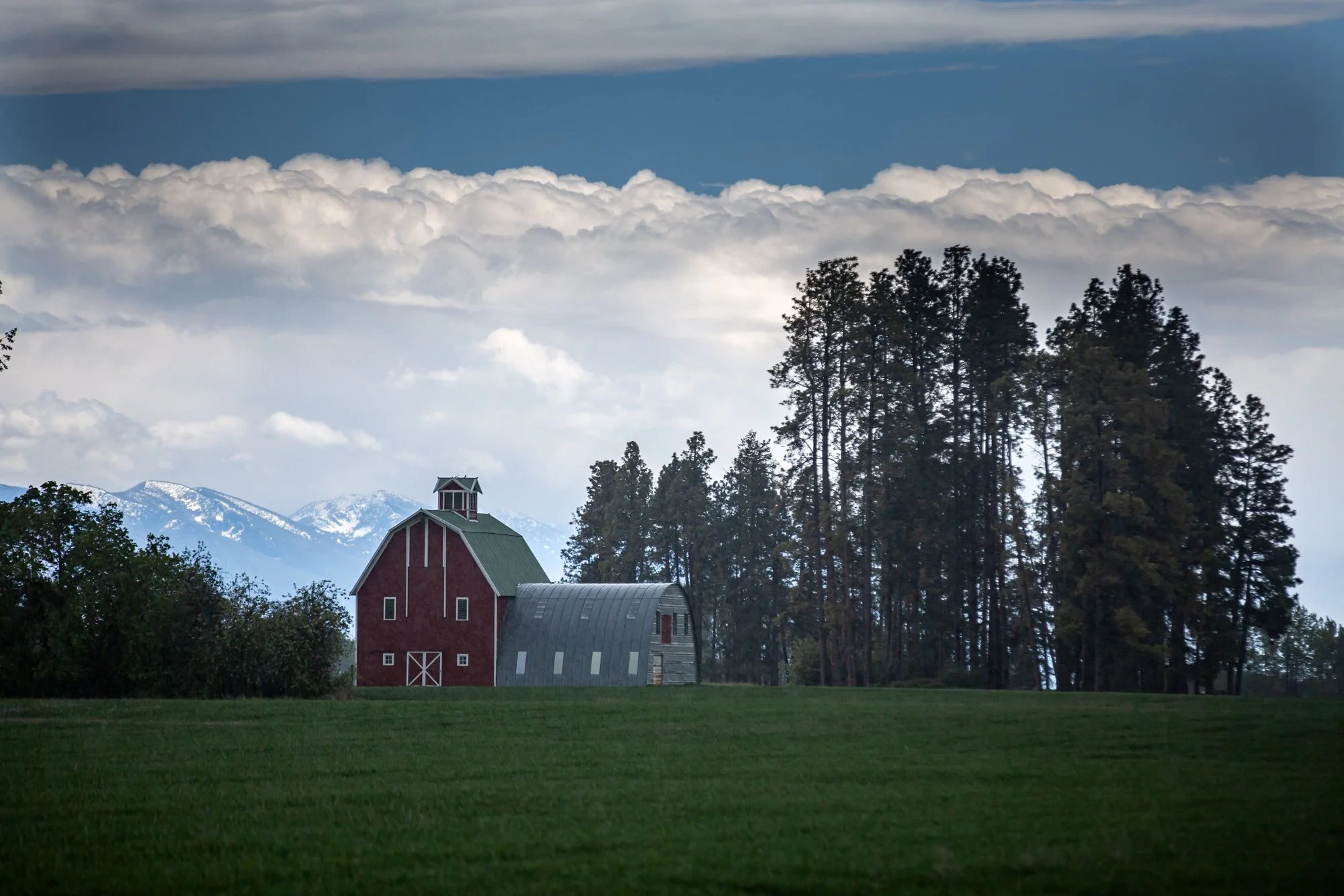 WFO Barn Tours Scout - Spring 2024-273.jpg