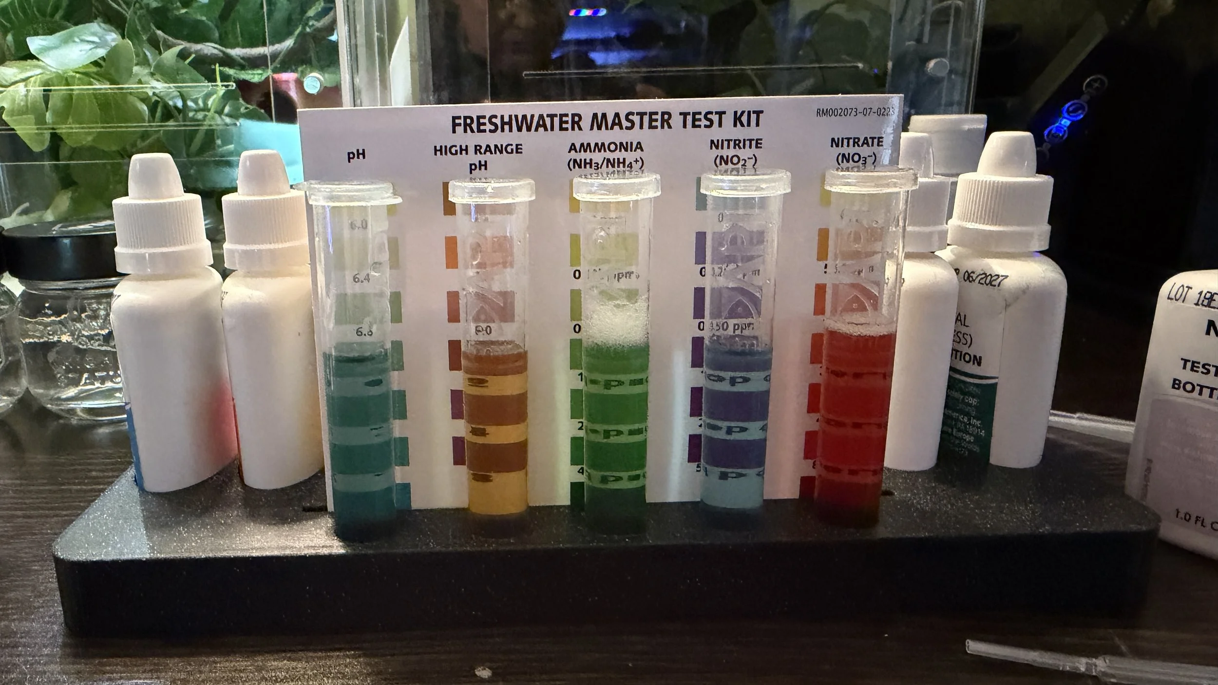 Axolotl Water Quality 101: A beginner’s guide to safe, stable water