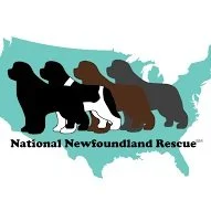 Silhouettes of Newfoundland dogs with the text 'National Newfoundland Rescue' and a map of the United States in the background.
