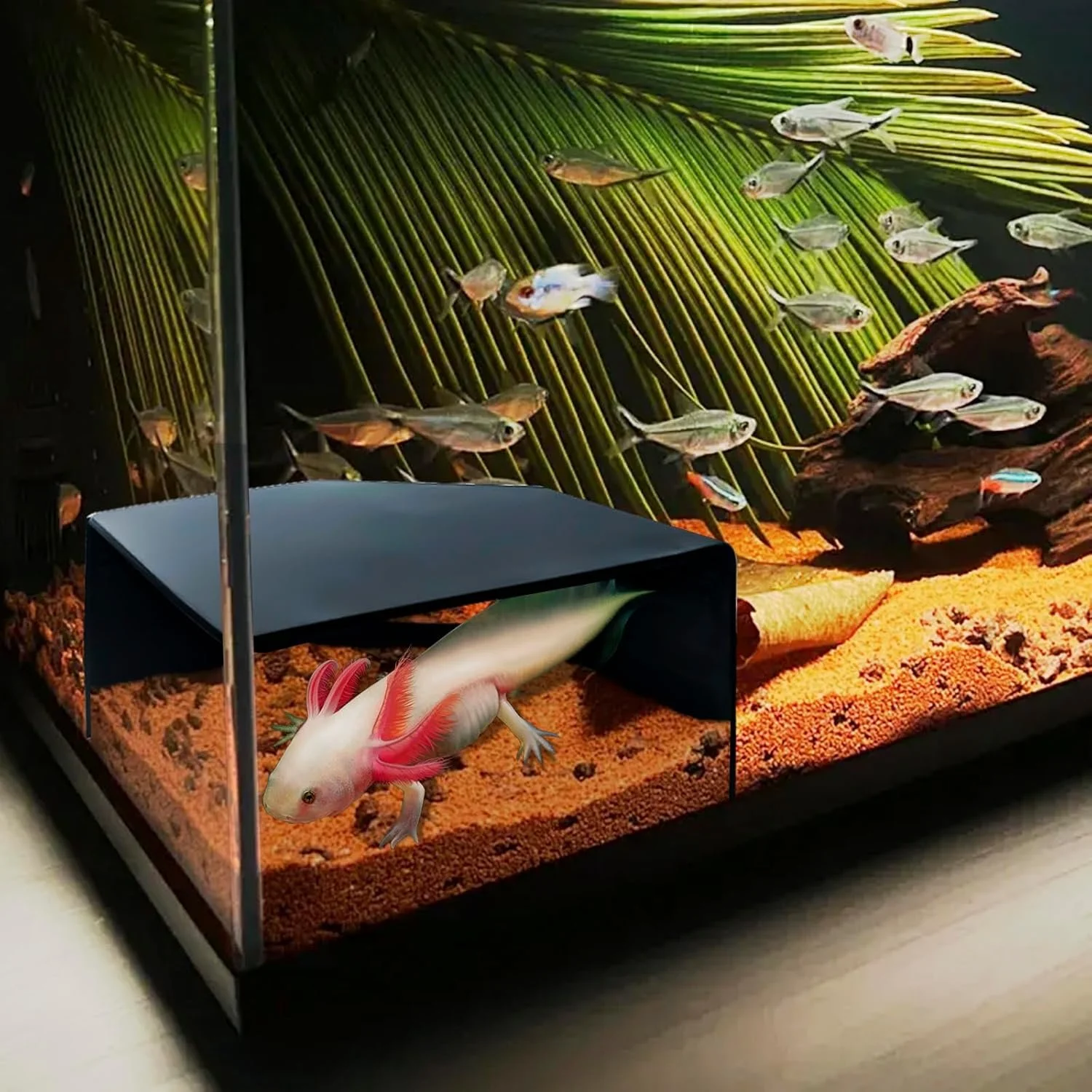 Aquarium Cave Hide with Viewing Window
