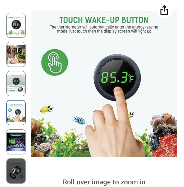 Digital thermometer
