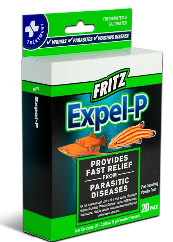 Axolotl Deworming Guide: Identifying and treating common parasites