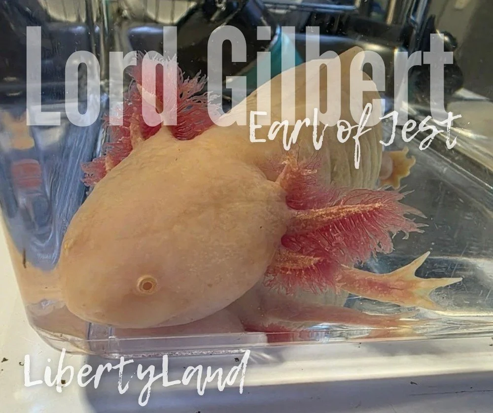 UPS 2nd Day Air Shipping for Lord Gilbert