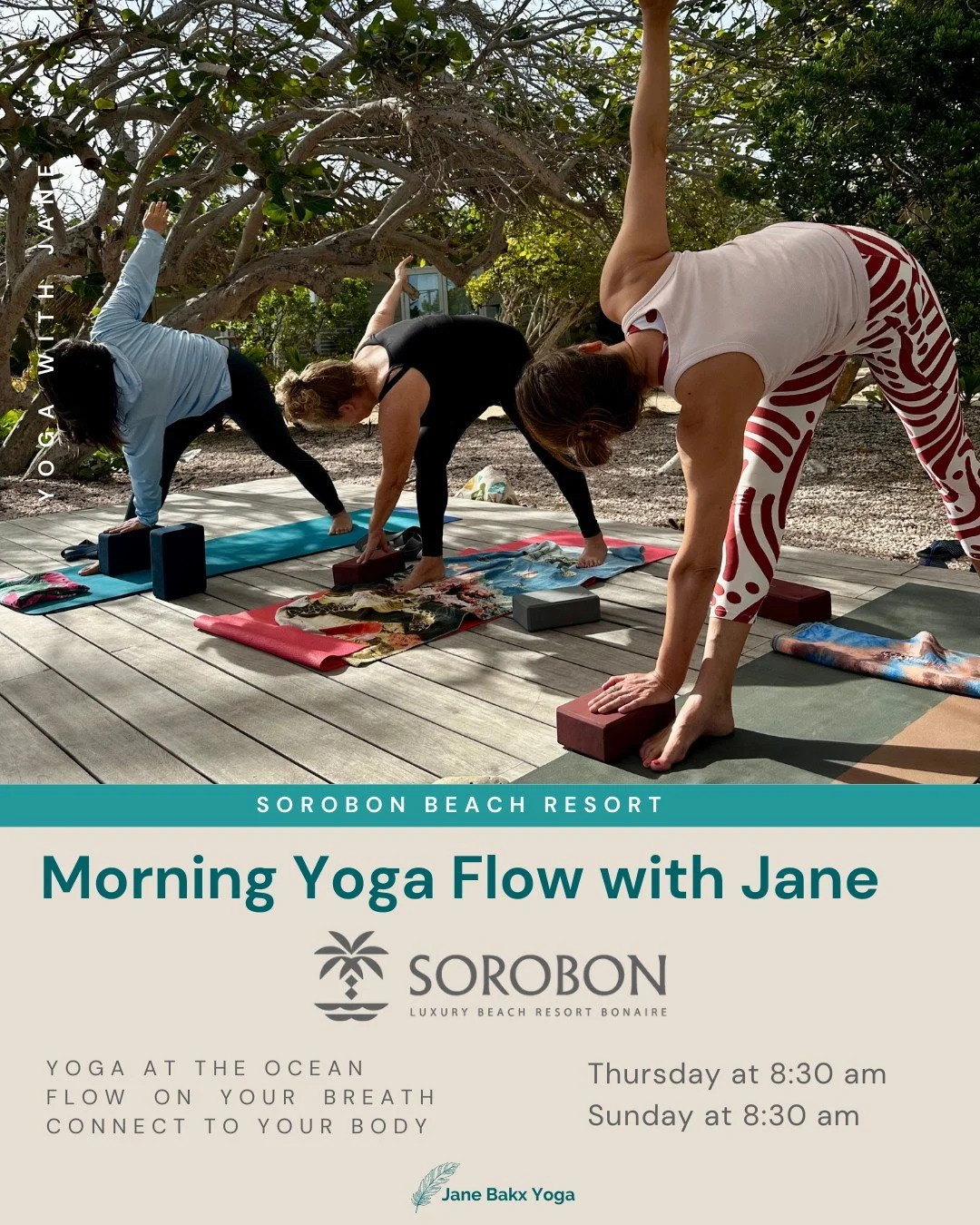 Start your day with movement, breath and ocean energy.
Flow Yoga at Sorobon helps you wake up your body, clear your mind and reconnect with yourself.
Practising yoga while feeling the wind on your skin and enjoying the peaceful views of Lac Bay. You 