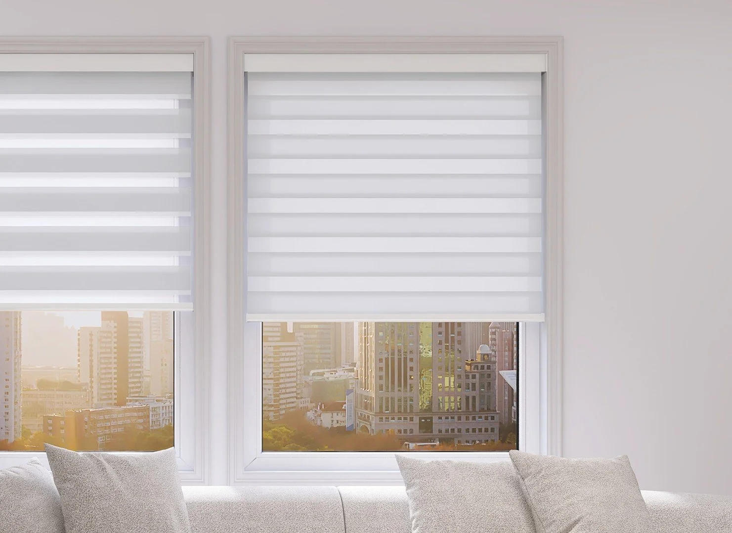 zebra background.jpg