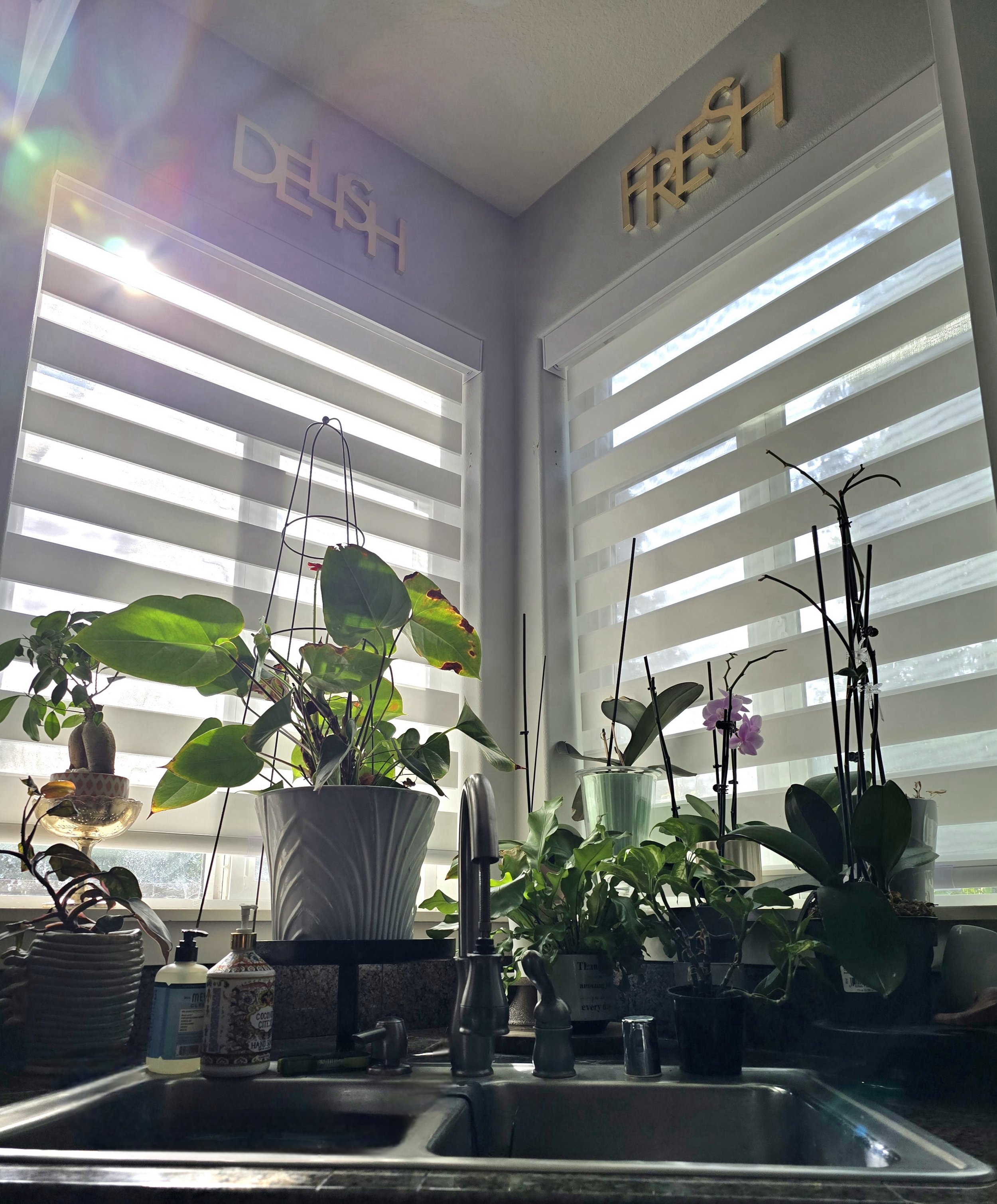 Cordless Zebra Shades - Vancouver
