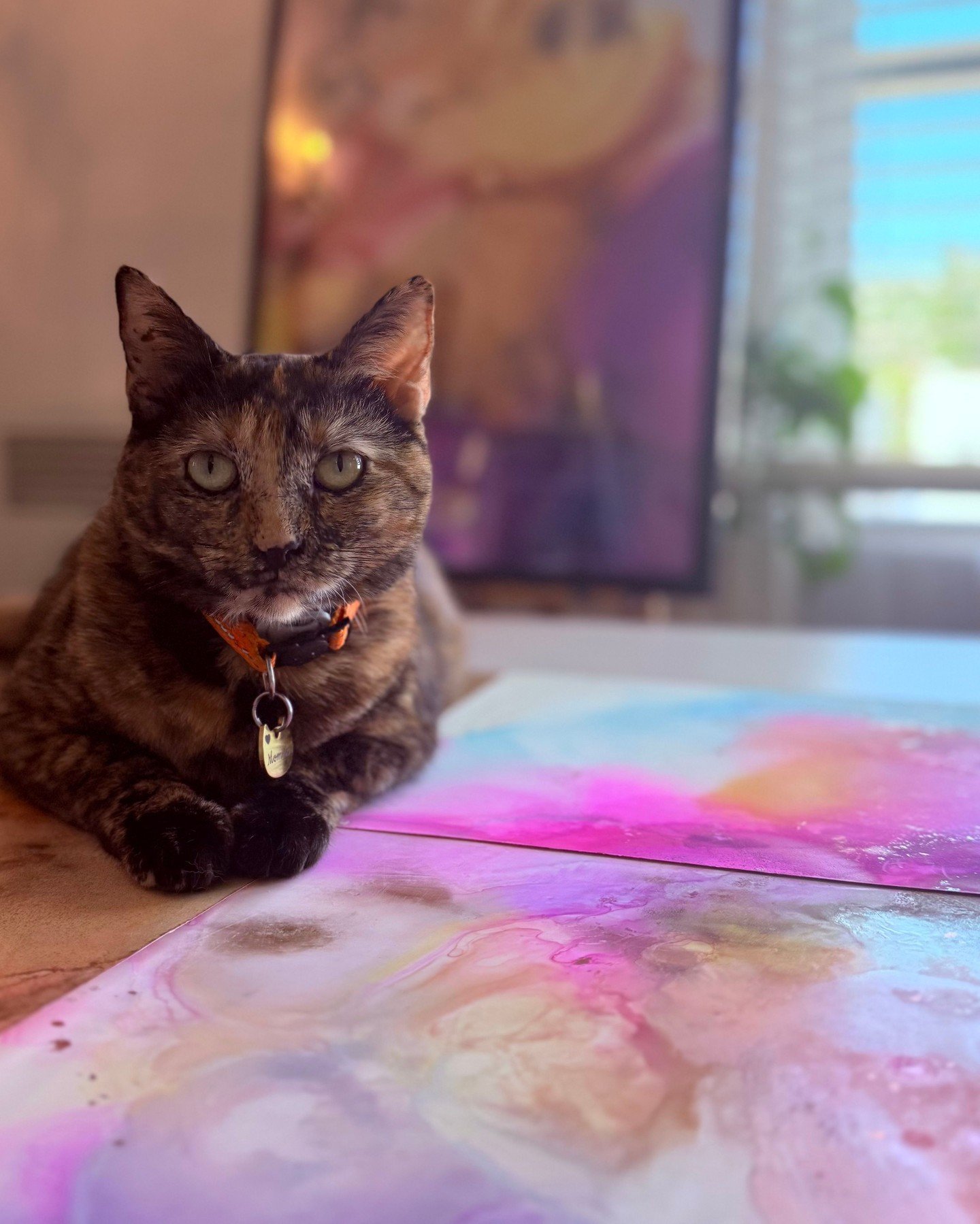 She sat on three paintings in a row
and didn't move for forty minutes.

I'd call it unhelpful&hellip;
except I think she was right about all of them.