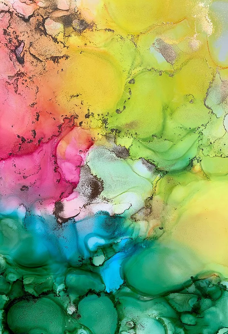 "Damara", 2019