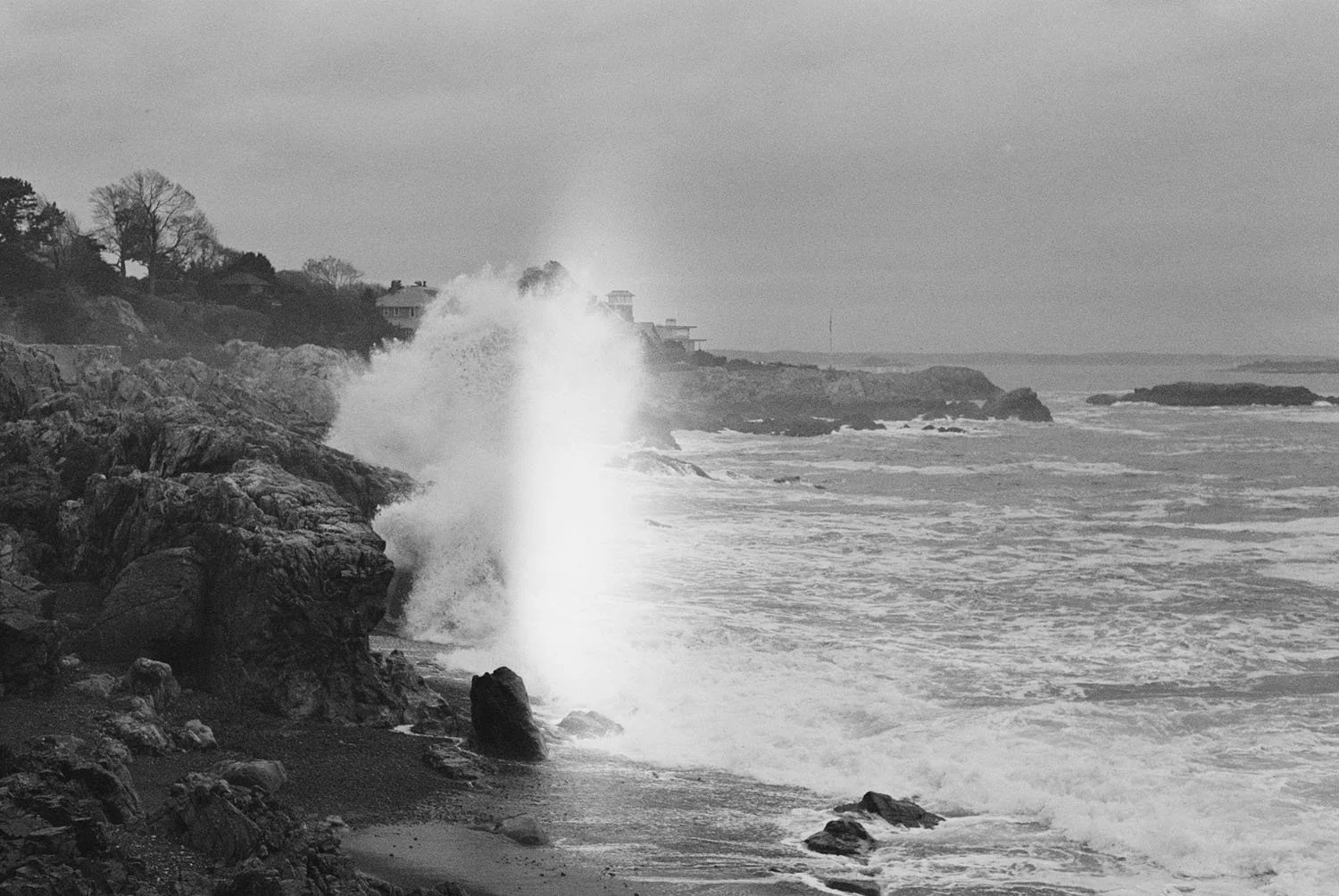 Eye of Kate Grout24.jpg