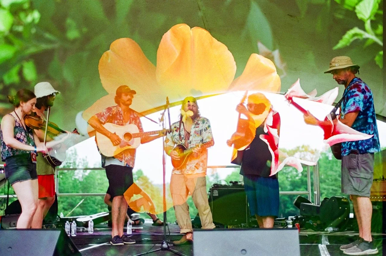 Band performing on stage 