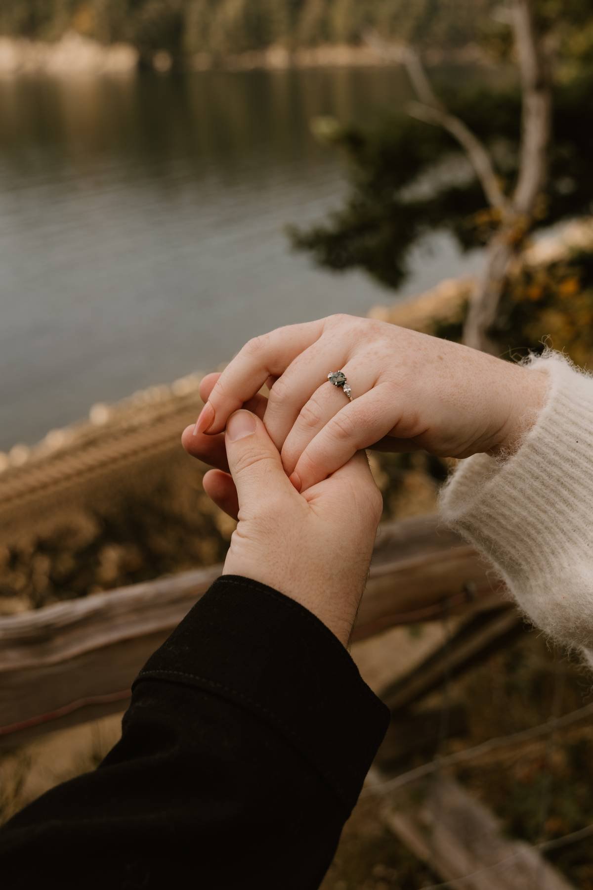 Close-up of two hands holding each other, one wearing an engagement ring, with a river and trees in the background.