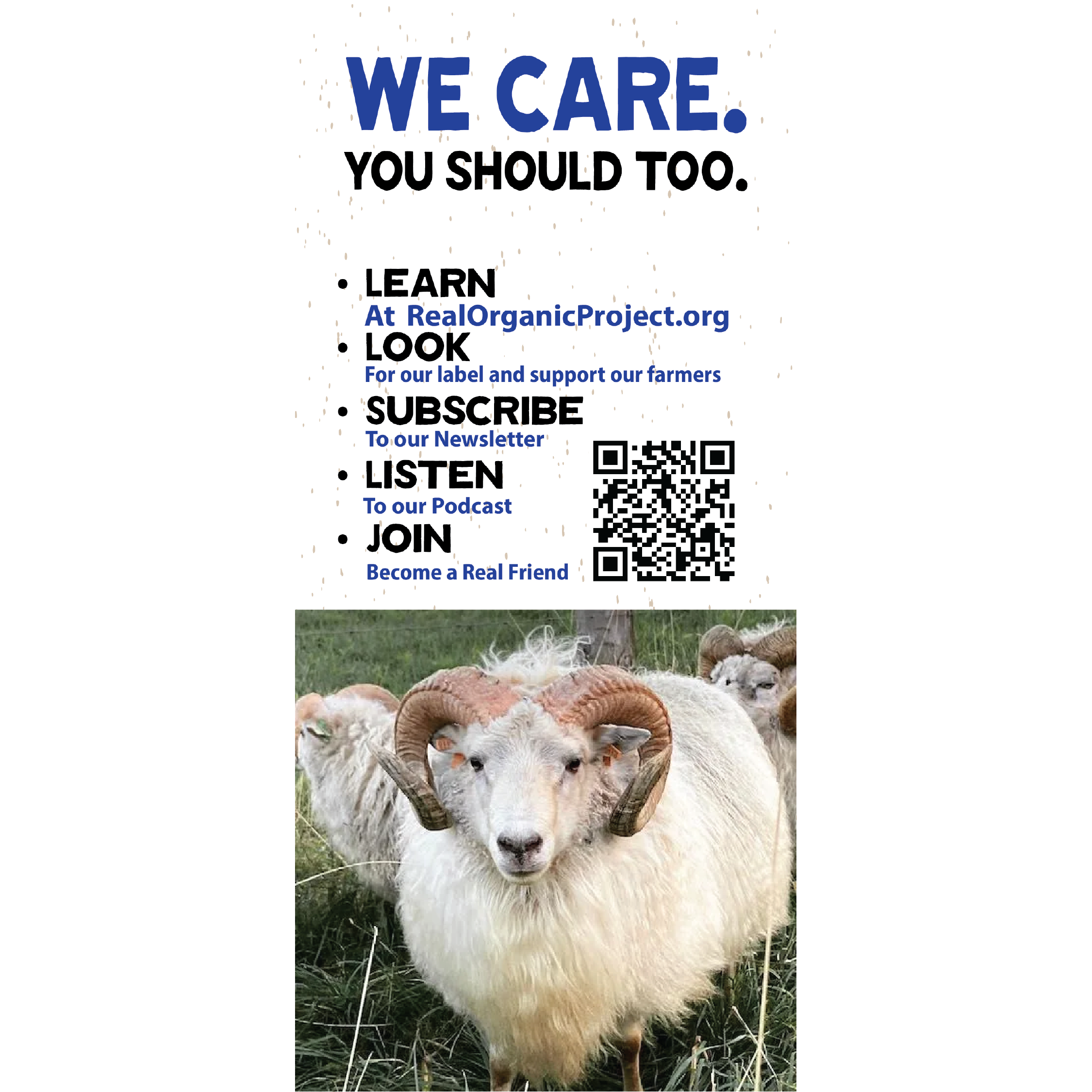 Rack Card Image for Store 1.png