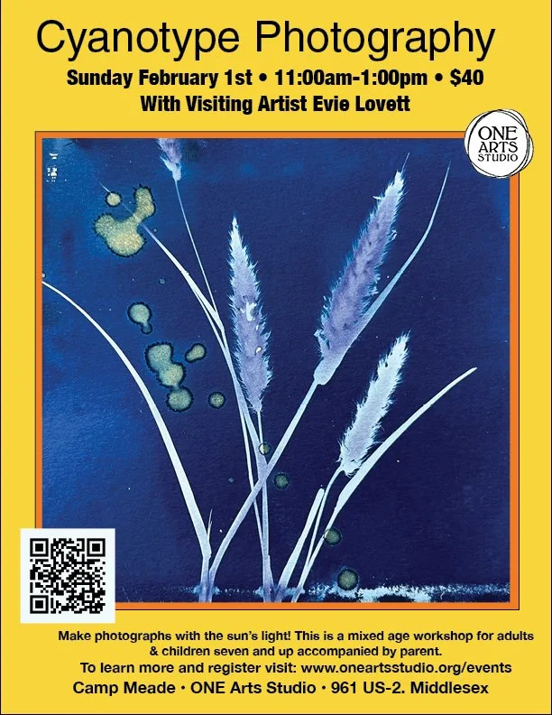 Cyanotype Photography with Evie Lovett