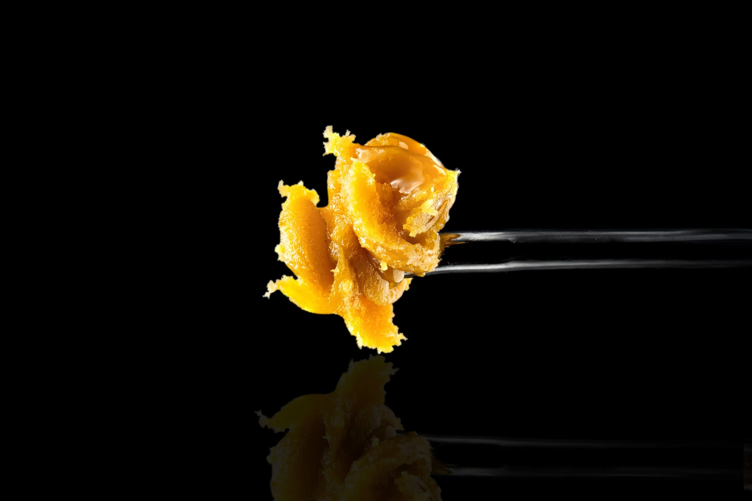 Hash Rosin Photography