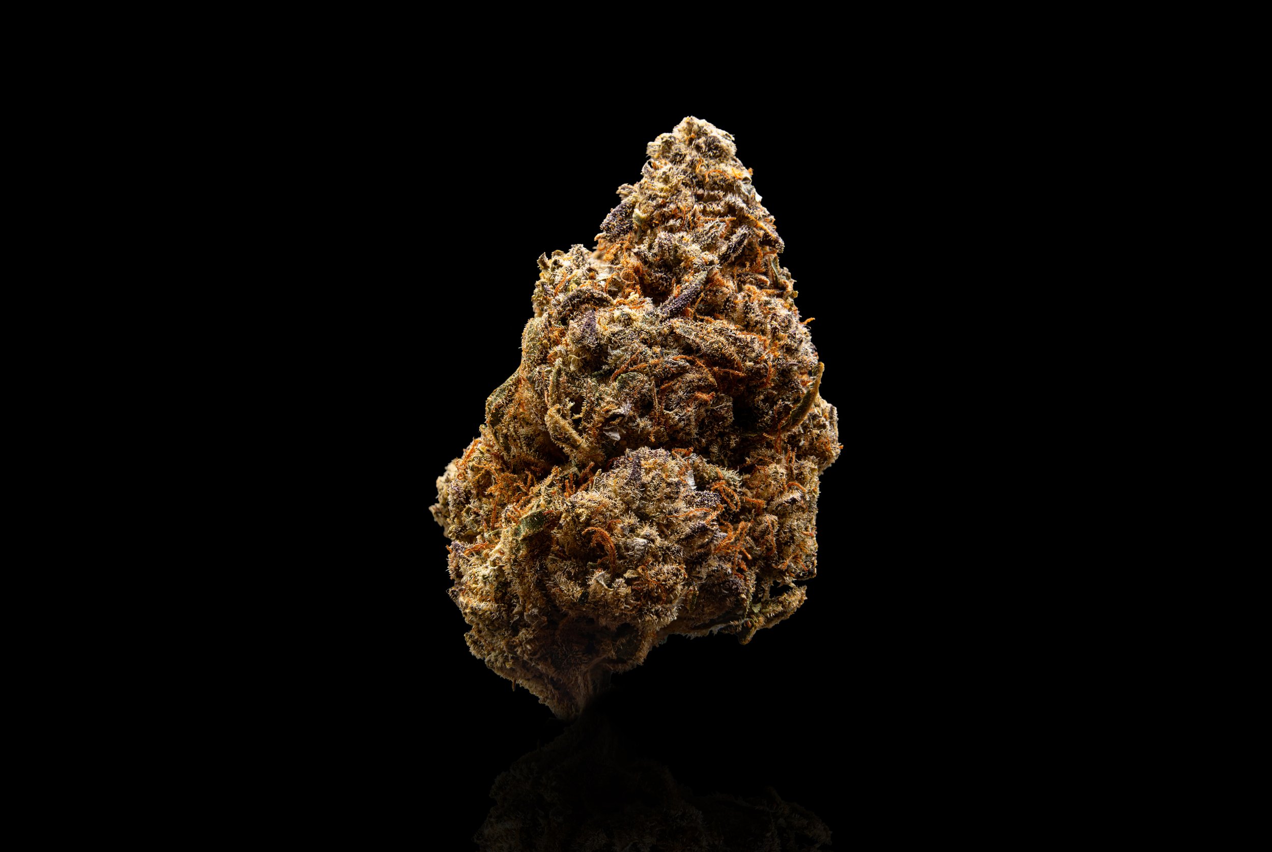 Budshot 1 (Landscape) - Copy.jpg