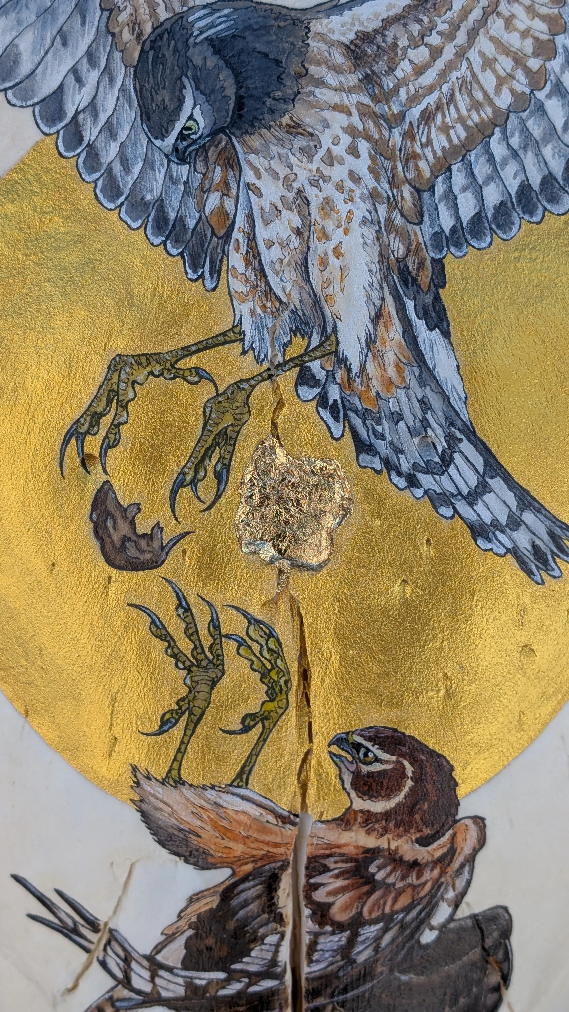 Msrsh Hawk Drop Detail 1.jpg