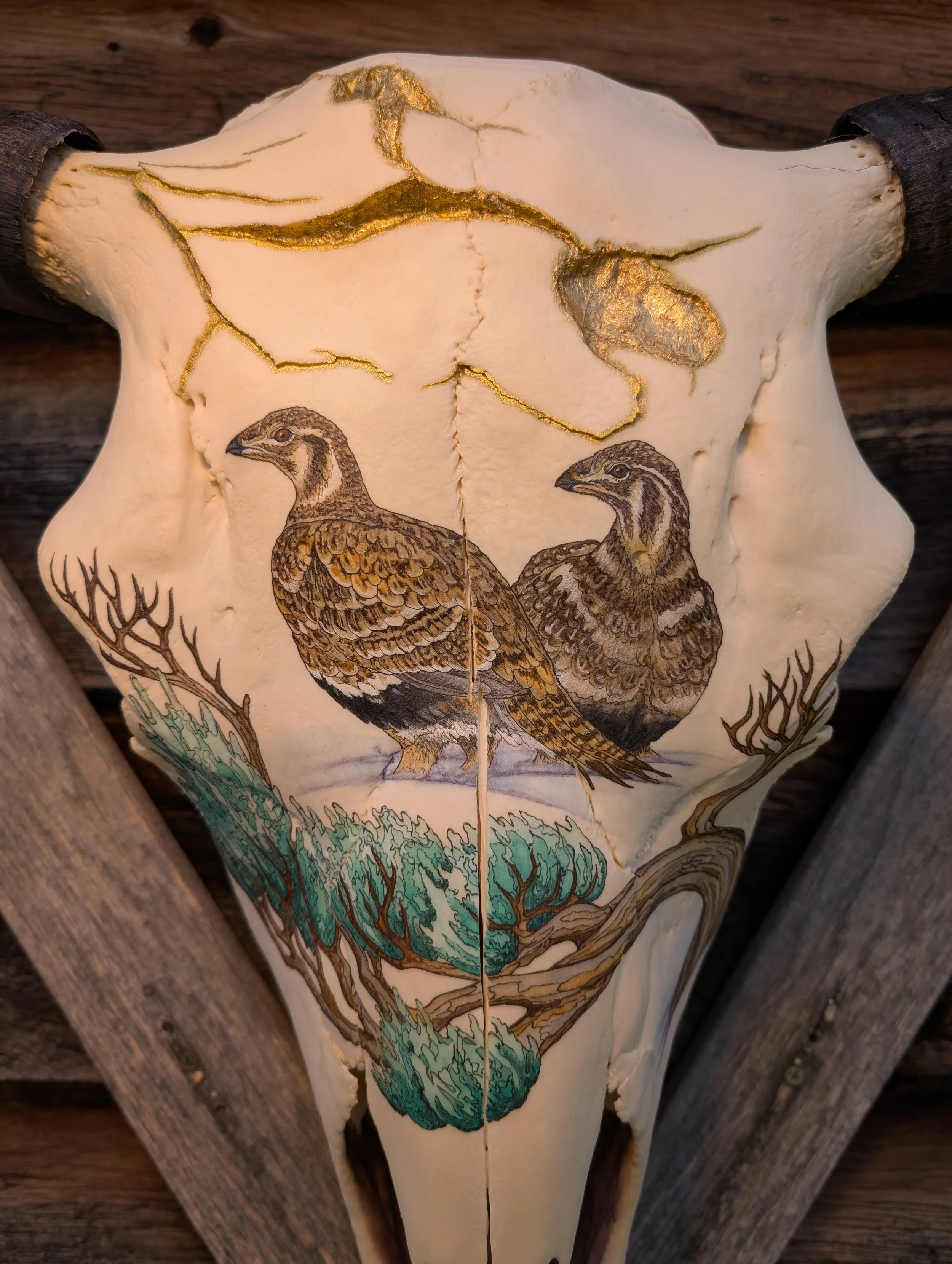 Fractured Lek Hens.jpg