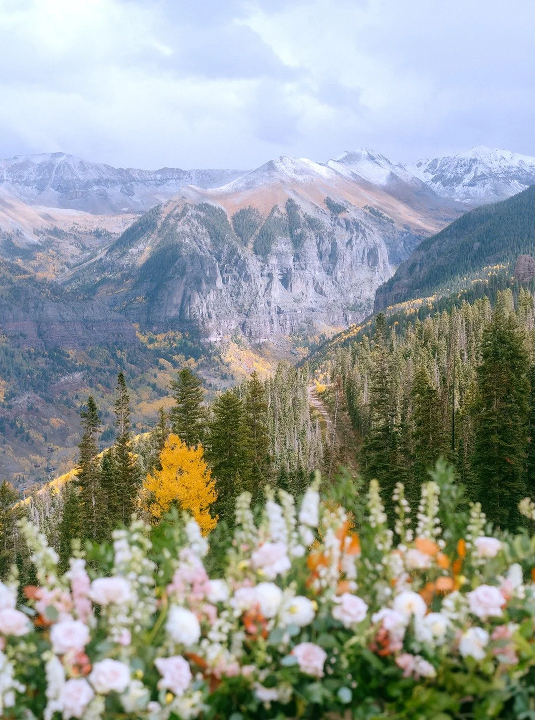 A light October snow, vibrant mountain colors, and getting married to the absolute right person 🧡 

#weddingphotography @mikaylareneephoto 
#bride @paigesheaks 
#floraldesign @flowersbyellatelluride 
#mountainvenues @tellurideweddings 
#ceremonymusi