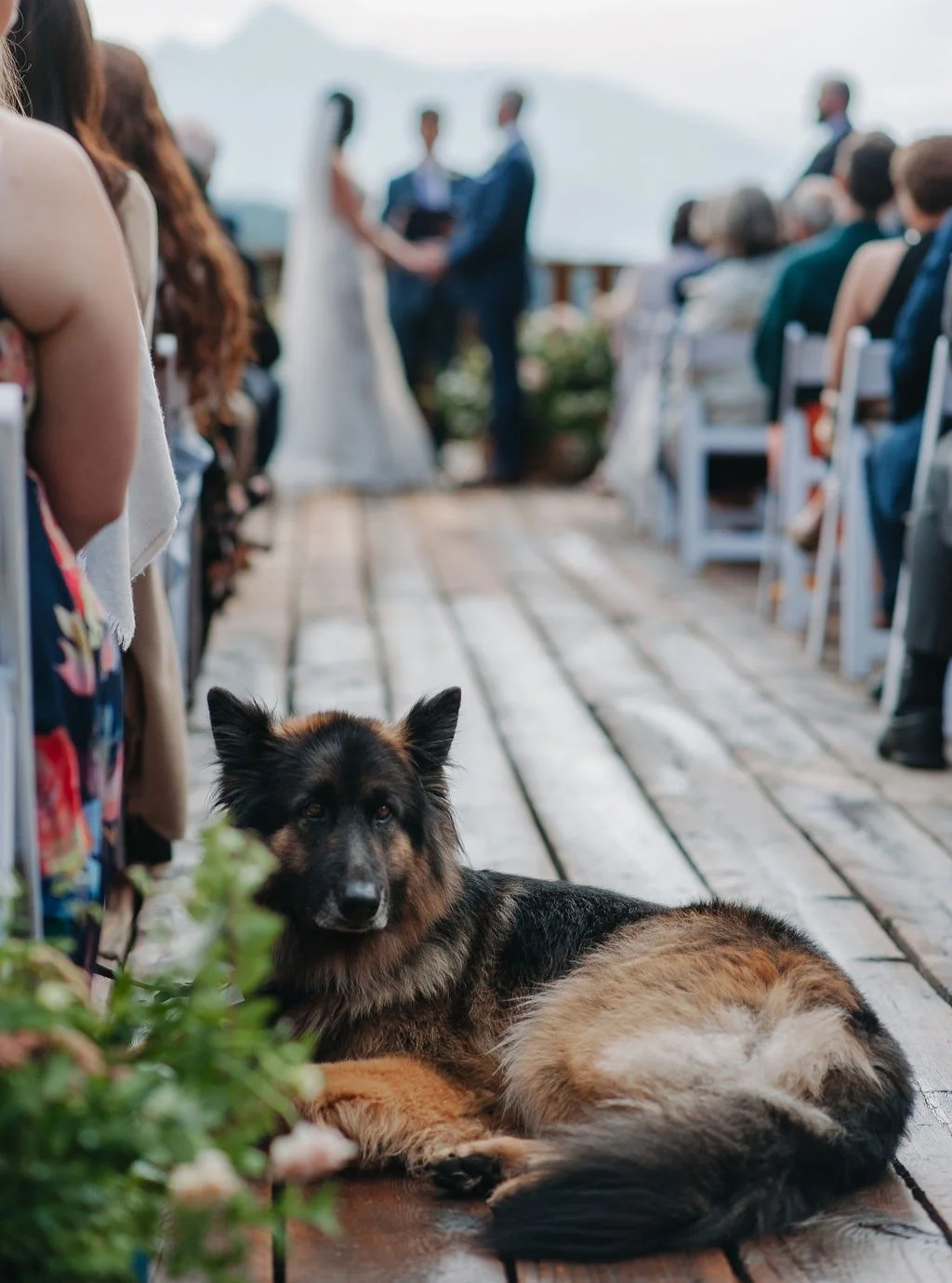 Quiet moments on a big day mean time to soak it all in 🌷

Photography: @abbipittmanphoto
Venue: @tellurideweddings @gorrono_ranch
Floral Design: @bridalveilfloral
Hair &amp; Makeup: @thecoloradocosmetologist
Pet Attendants: @puppysplusone
Ceremony M