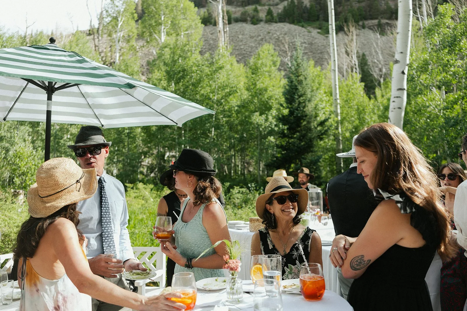 Cocktail hour in meadow in August 