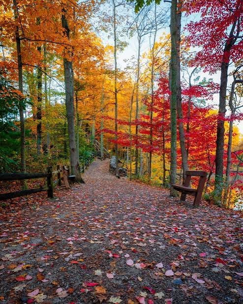 Fall Fun Hike