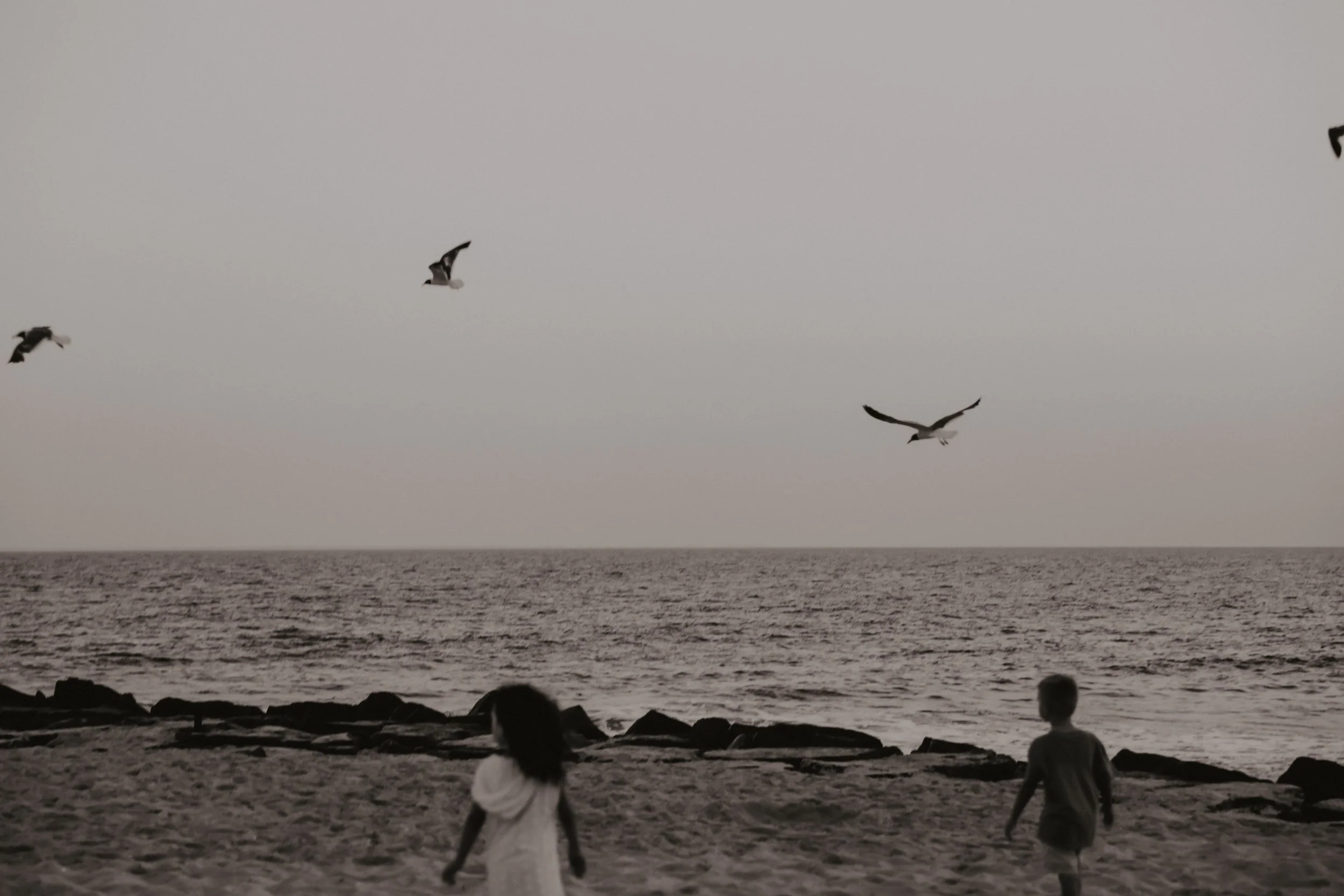 Black and White Dream