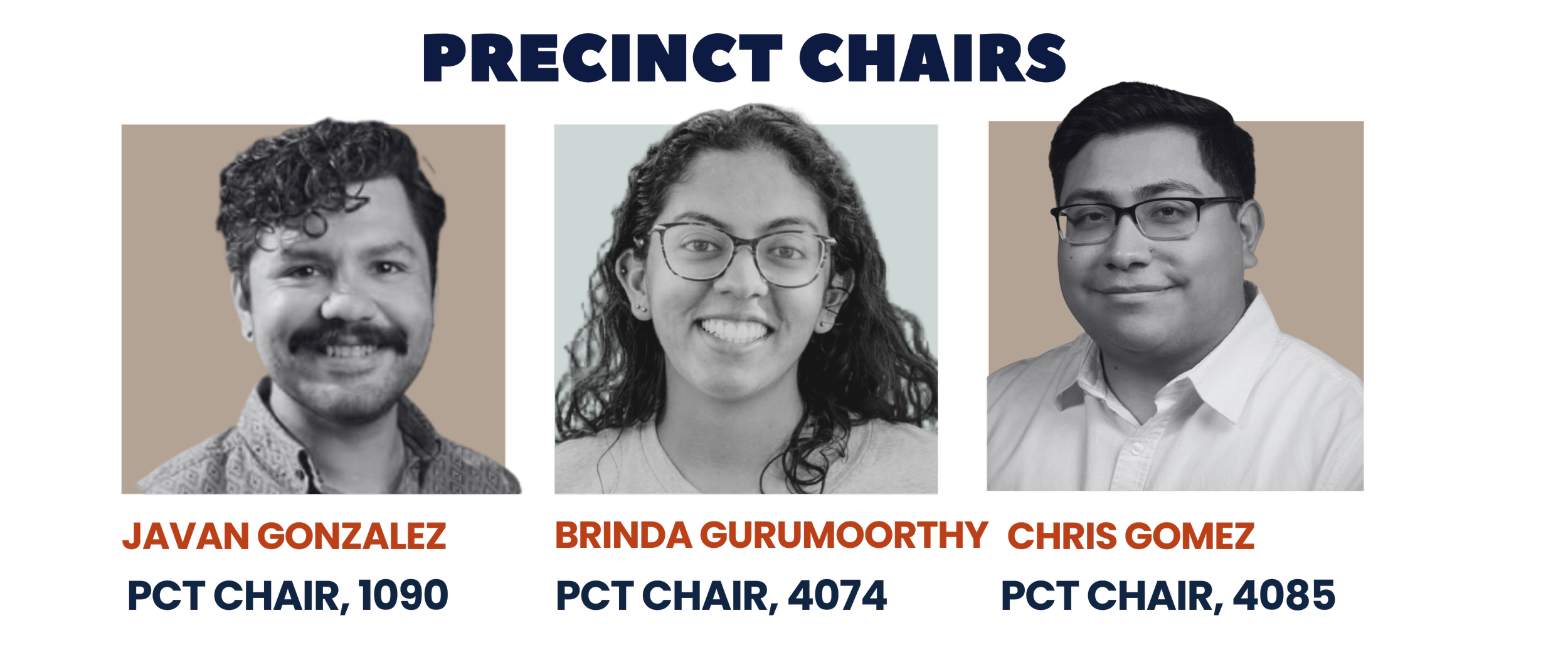 Precinct Chair - DCYD Endorsement