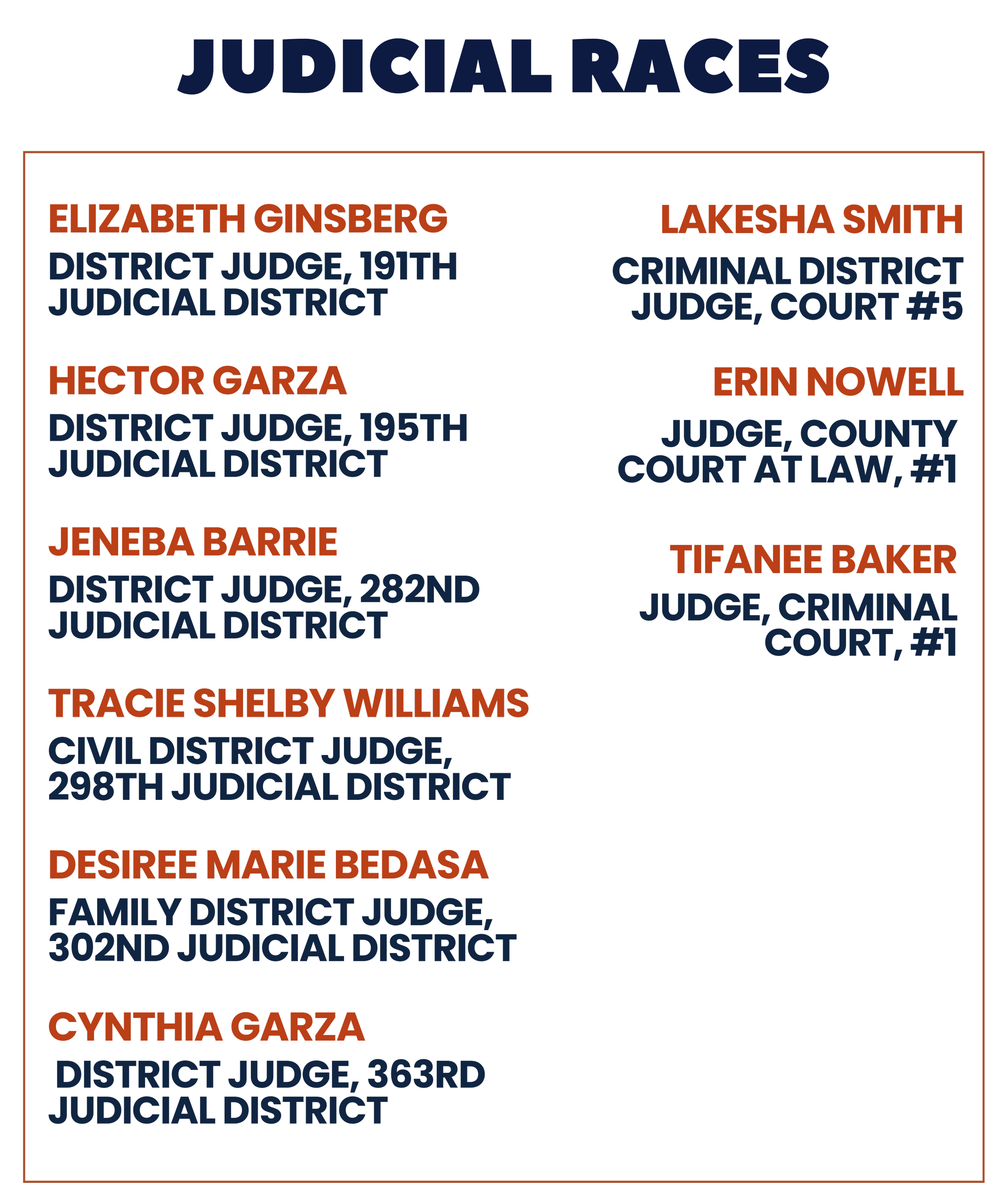 Judicial races - DCYD Endorsement