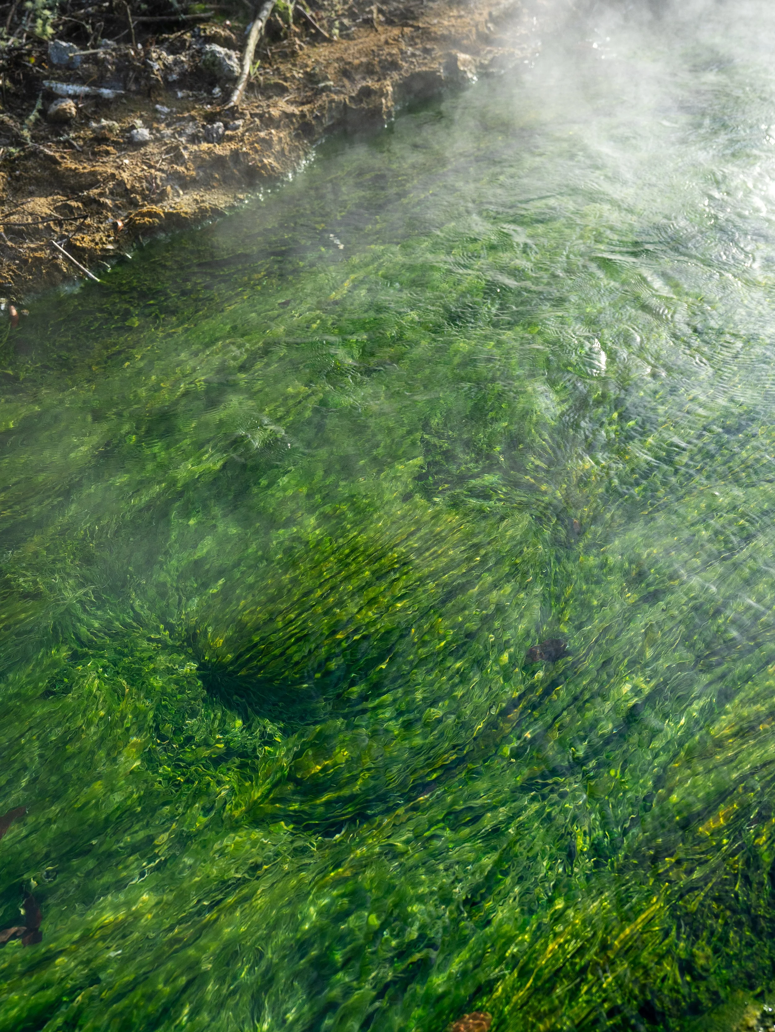 Four-B-Biking-Wairakei-Geothermal-Loop7.jpg