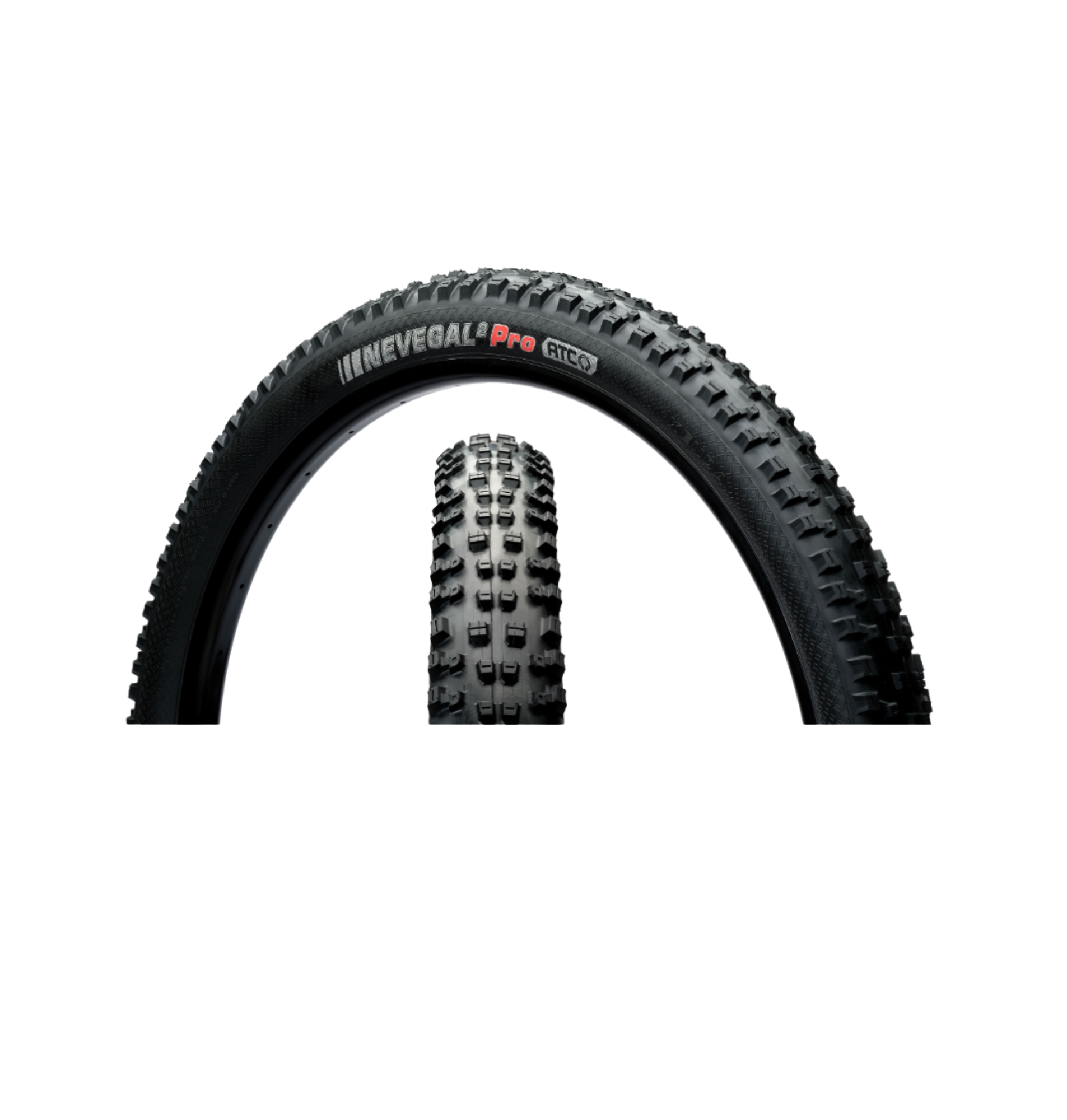 Untitled design (8).png