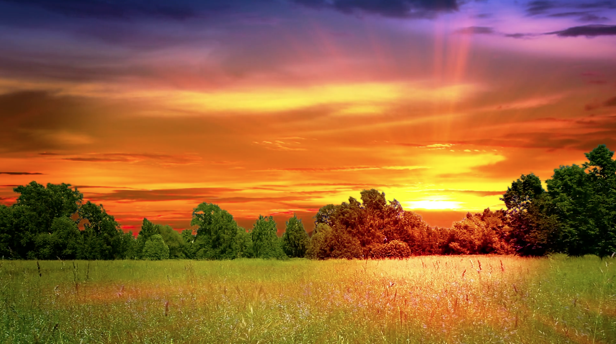 Screenshot 2025-04-22 at 6.57.56 PM.png