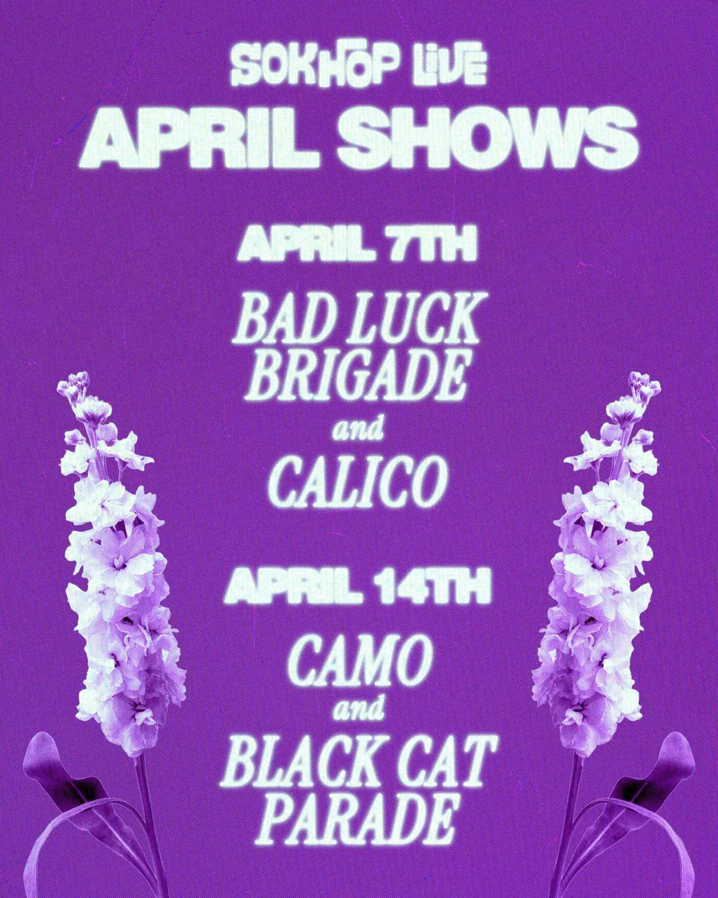 SokHop April shows 🪻🎶 These are our last two shows of the year, so you won&rsquo;t want to miss them!

⭐️ @badluckbrigade + @calicobandofficial on April 7th

⭐️ @hideinthecamo + @black.cat.parade on April 14th

#concert #southernutah #southernutahe