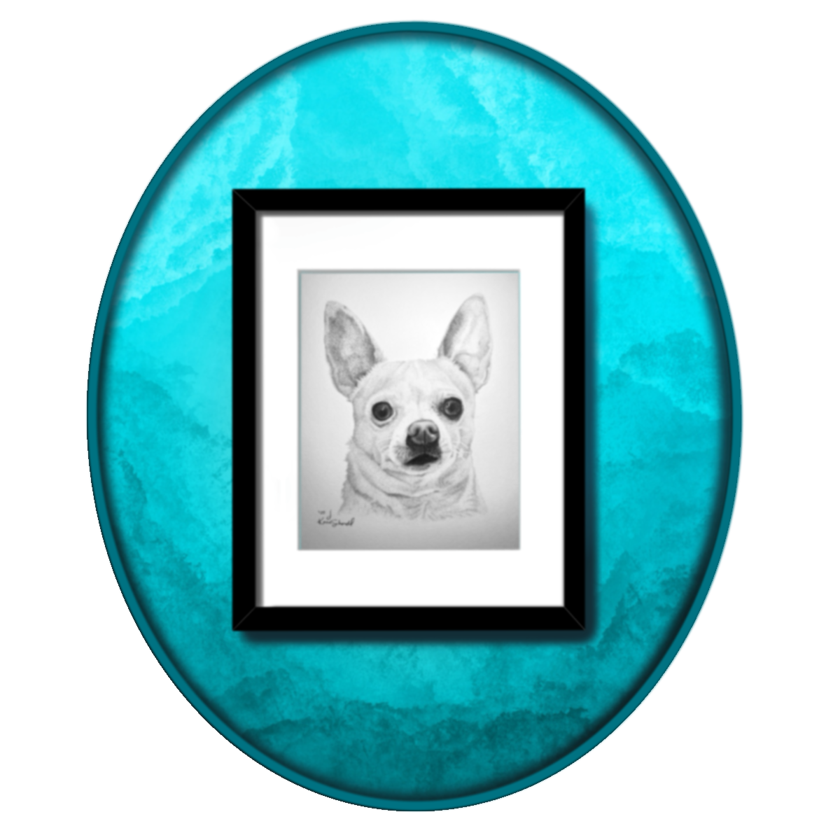 Single Pet Portrait