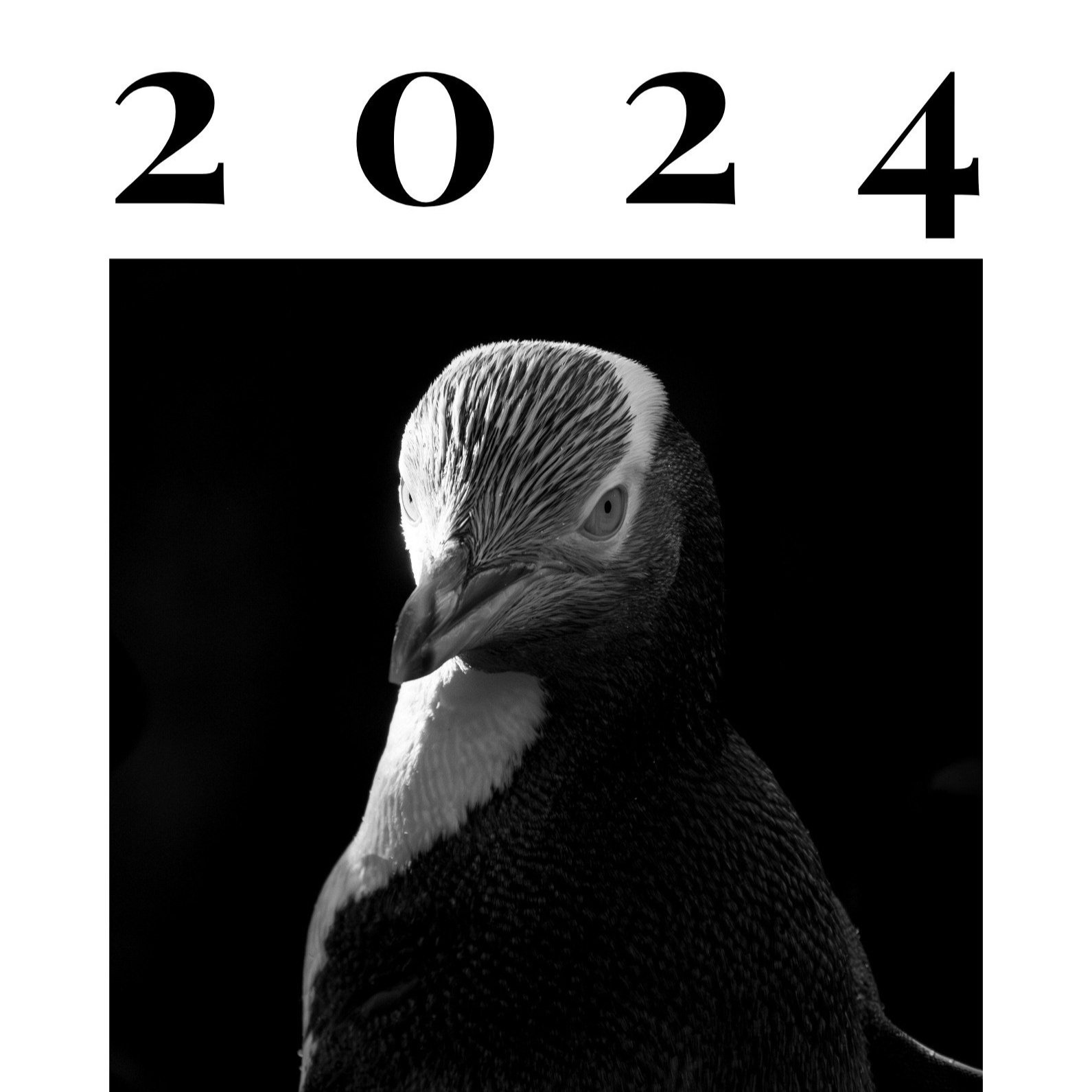 DIGITAL: 2024 Annual Photozine