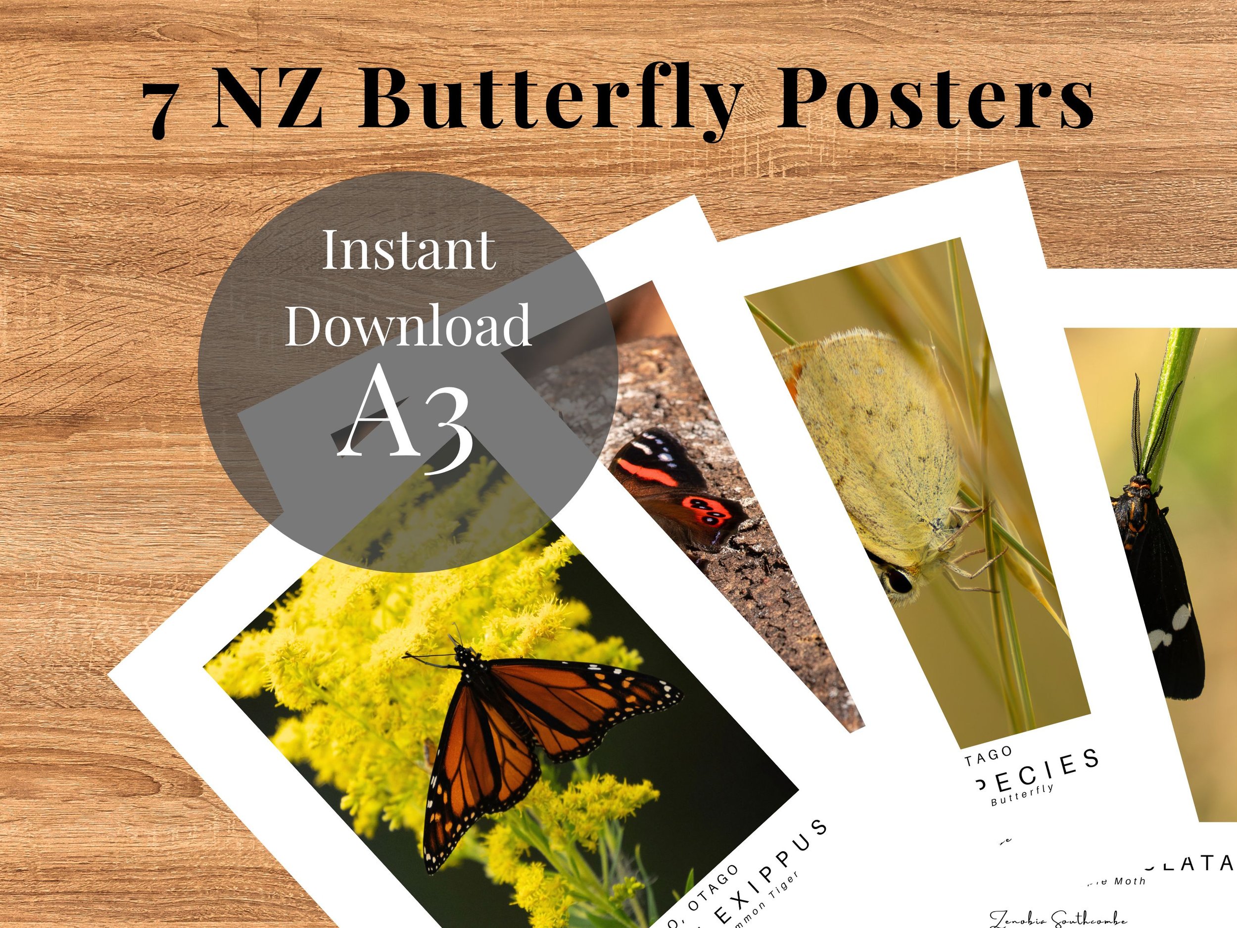 Butterfly posters.jpg