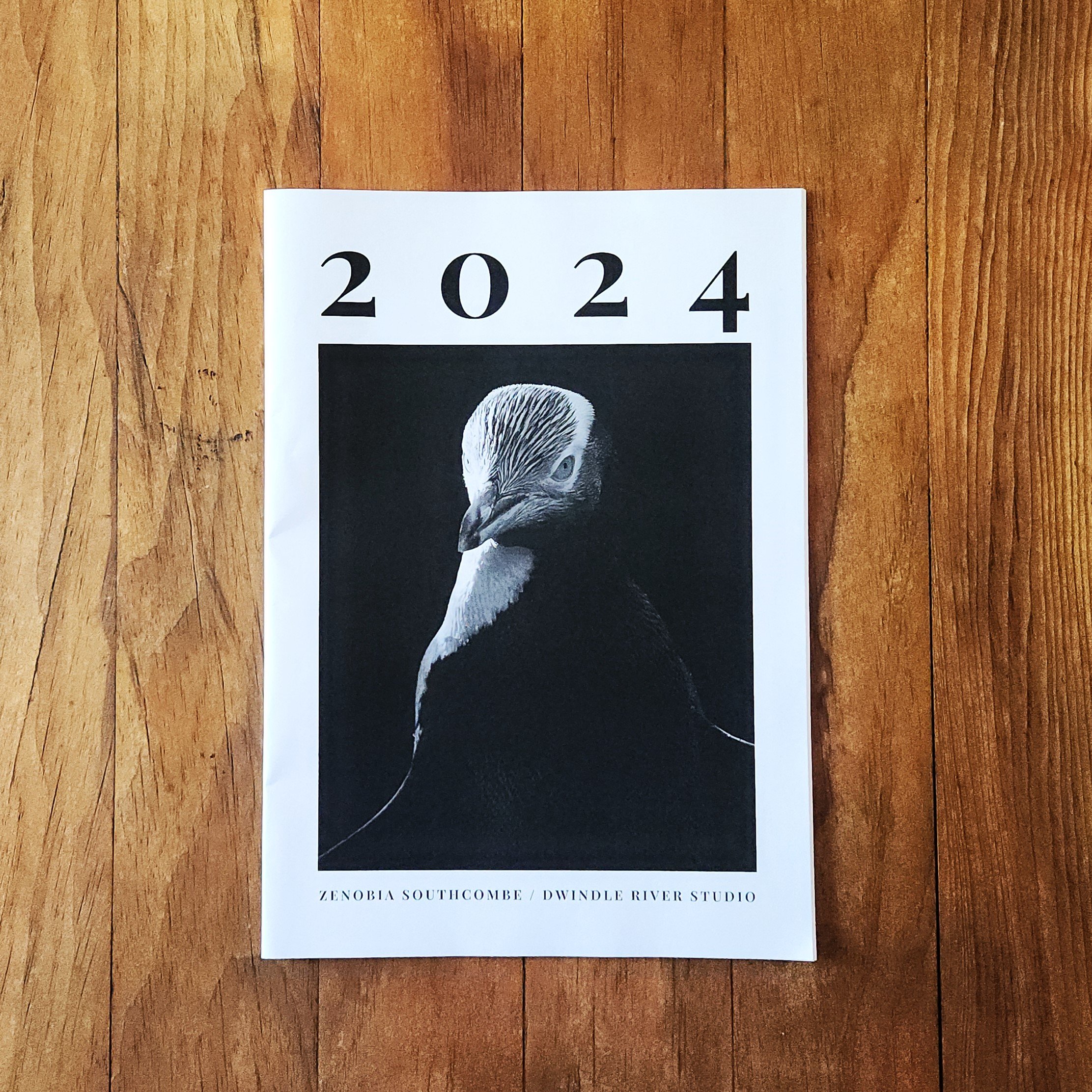 PRINT: 2024 Annual Photozine