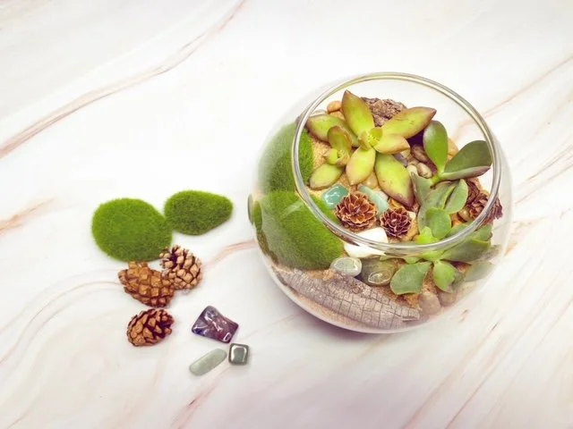 A glass bowl with succulents, pinecones, and small decorative stones, alongside moss and pinecones on a white marble surface.