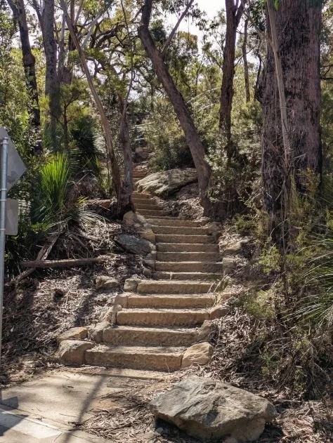 PXL_20260911_023014063~2.jpg
