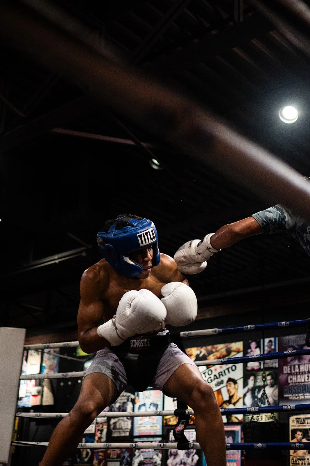 Maple 08.15-35_websize.jpg