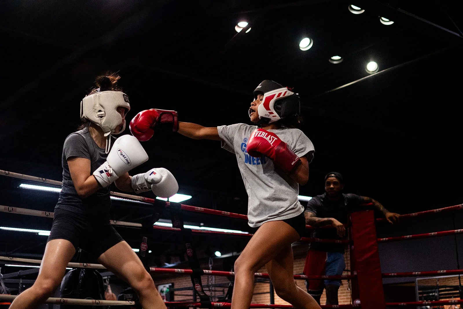 Maple 08.15-59_websize.jpg