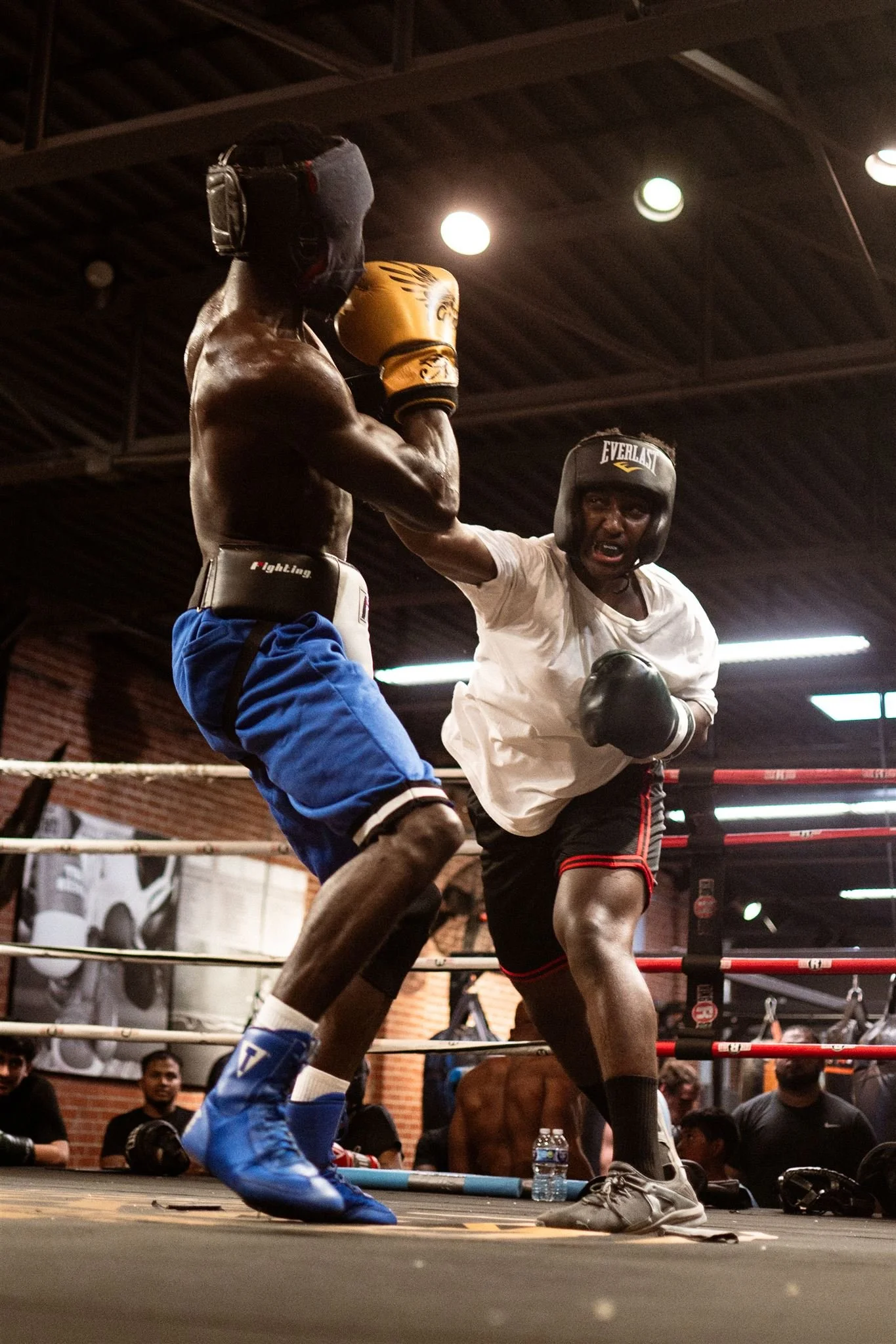 Maple Ave Round 3-075_websize.jpg