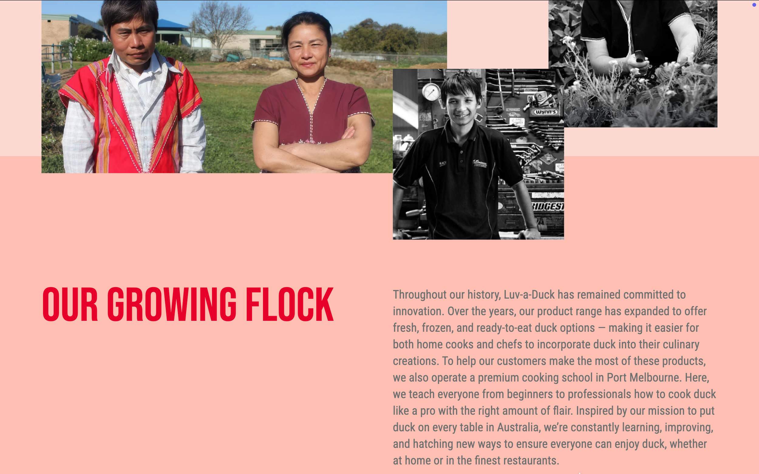 Screenshot 2025-03-28 at 9.55.19 am.png