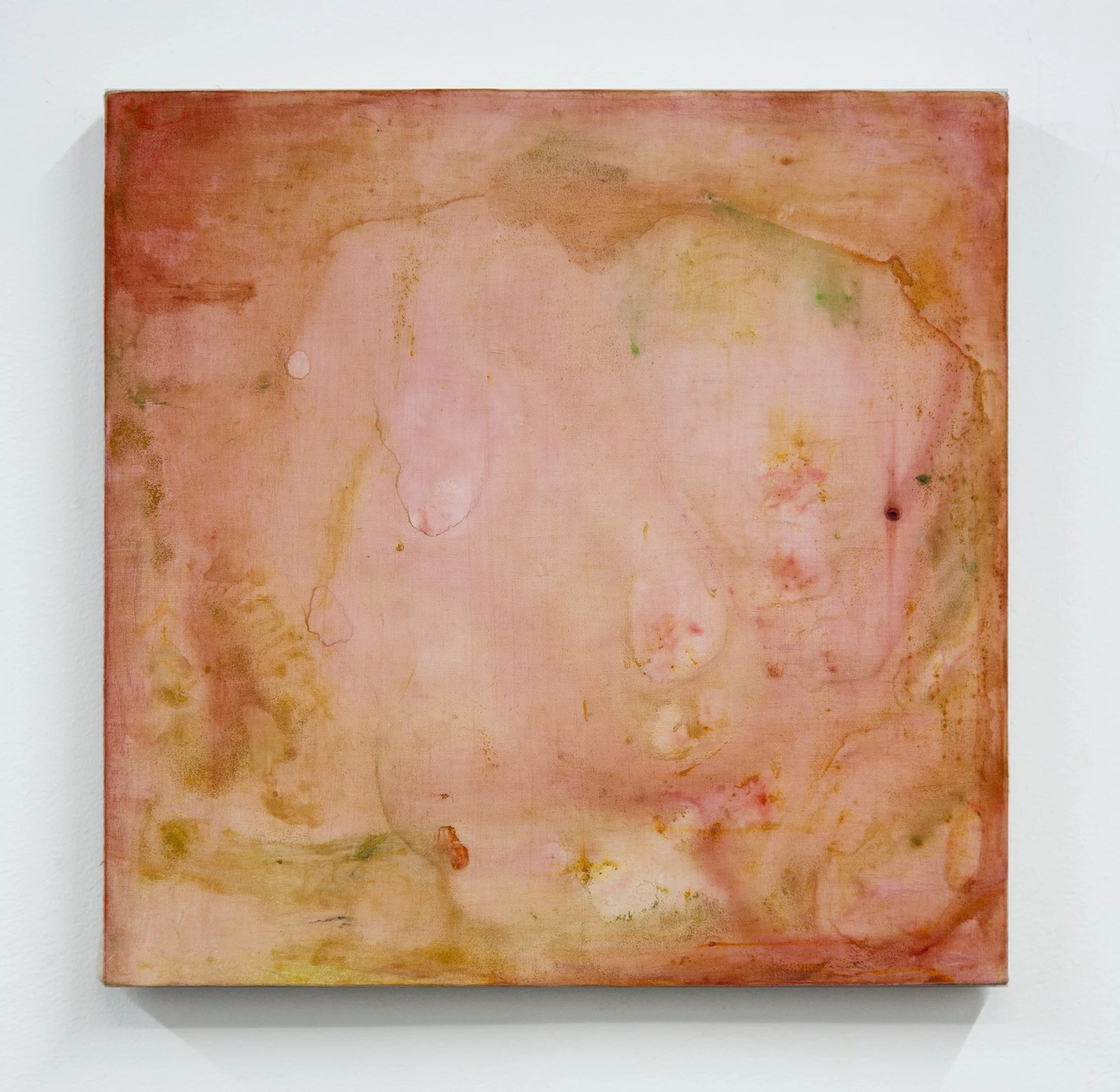 Even the Buds on Cut Branches Bloom, 2026, Oil, Flashe and acrylic on linen over panel, 12 x 12 in (30.48 x 30.48 cm)