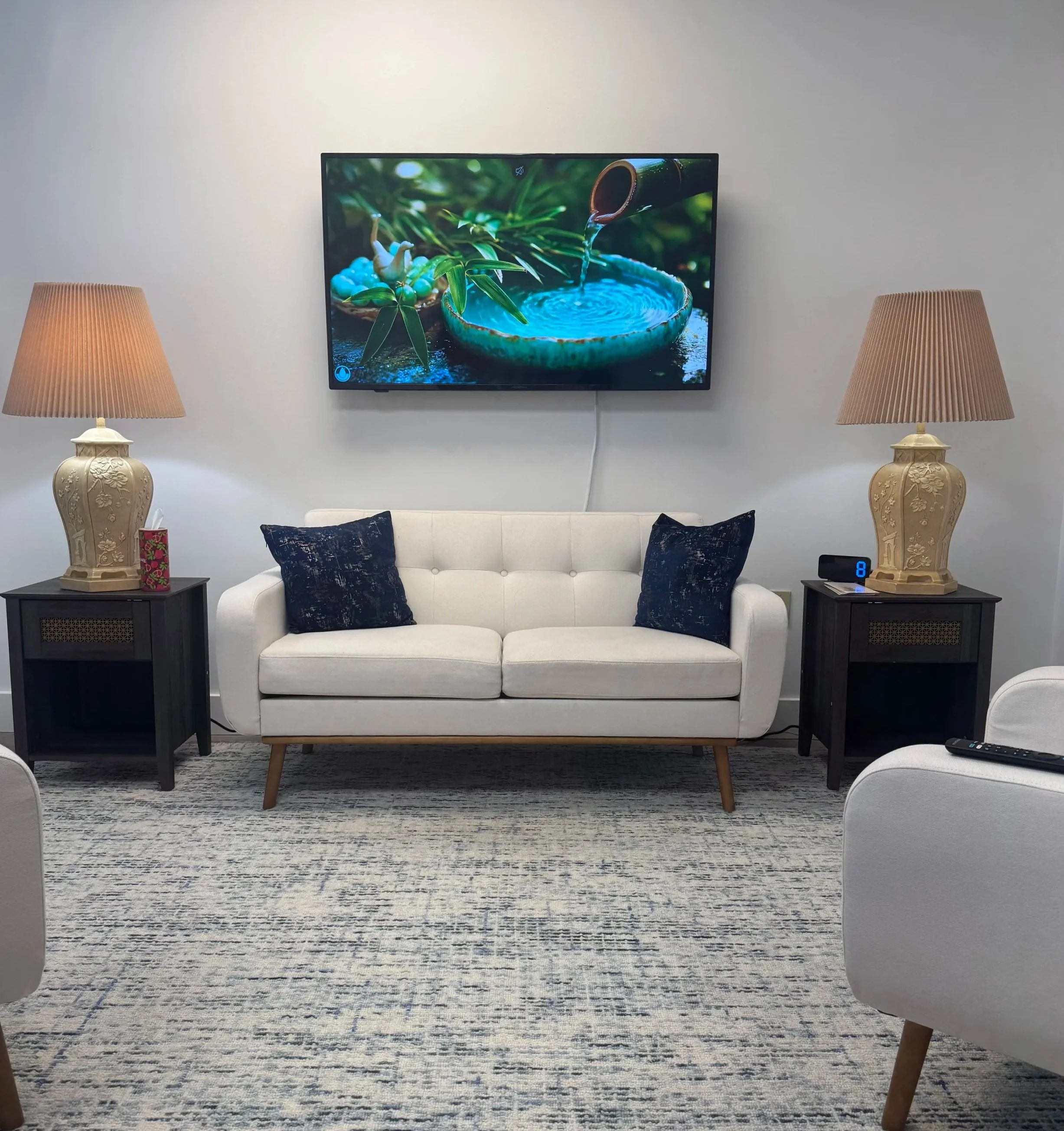 Living room with white sofa, two black pillows, two table lamps with beige shades, a TV displaying a garden scene, a black side table, a small plant, a tissue box, and a digital clock showing 8, on a patterned rug.