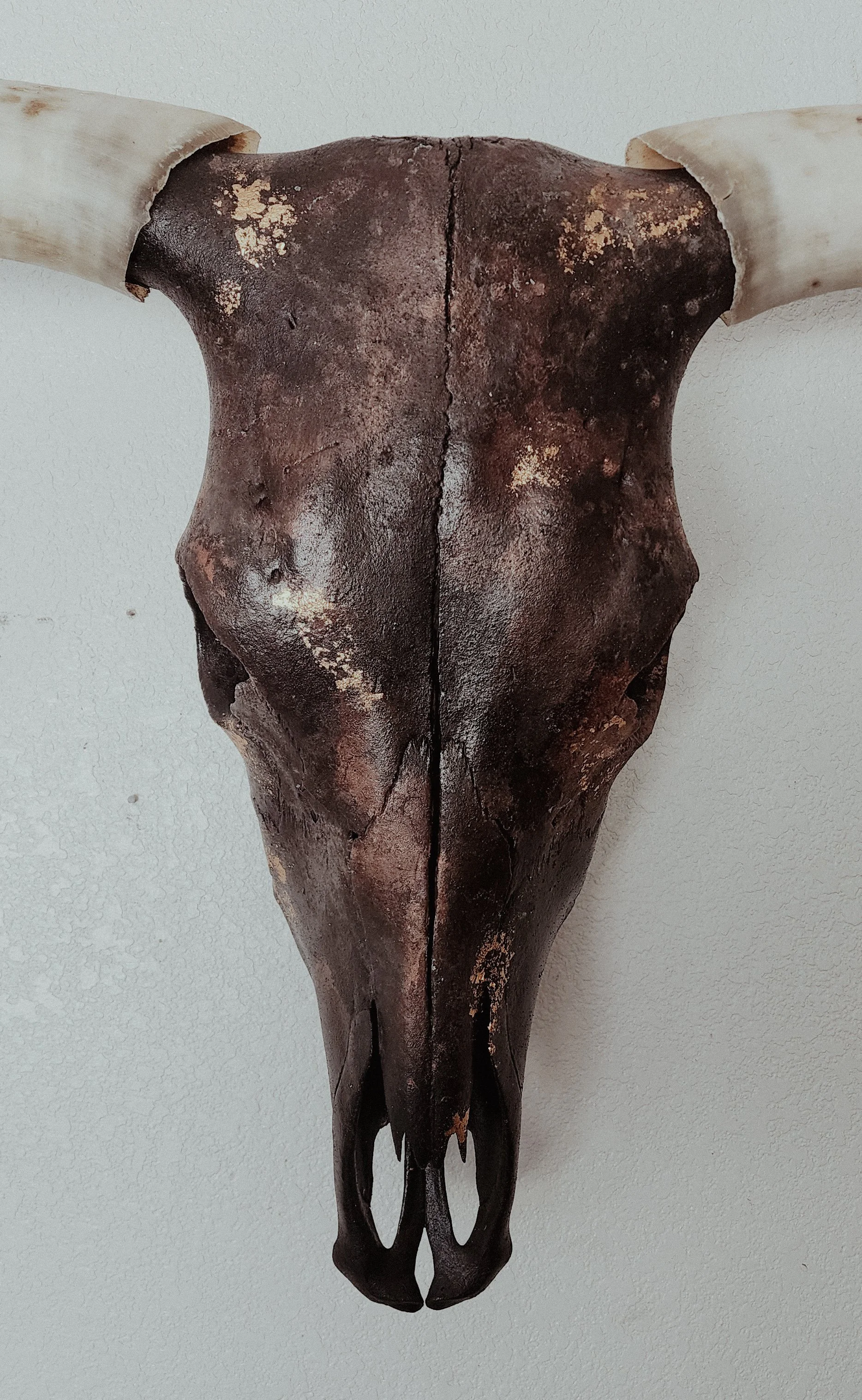 20240802_113335 (1).jpg