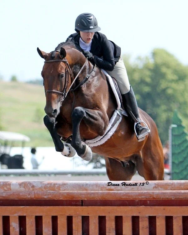 A person wearing a helmet riding a brown horse and jumping over an obstacle during a show jumping competition.