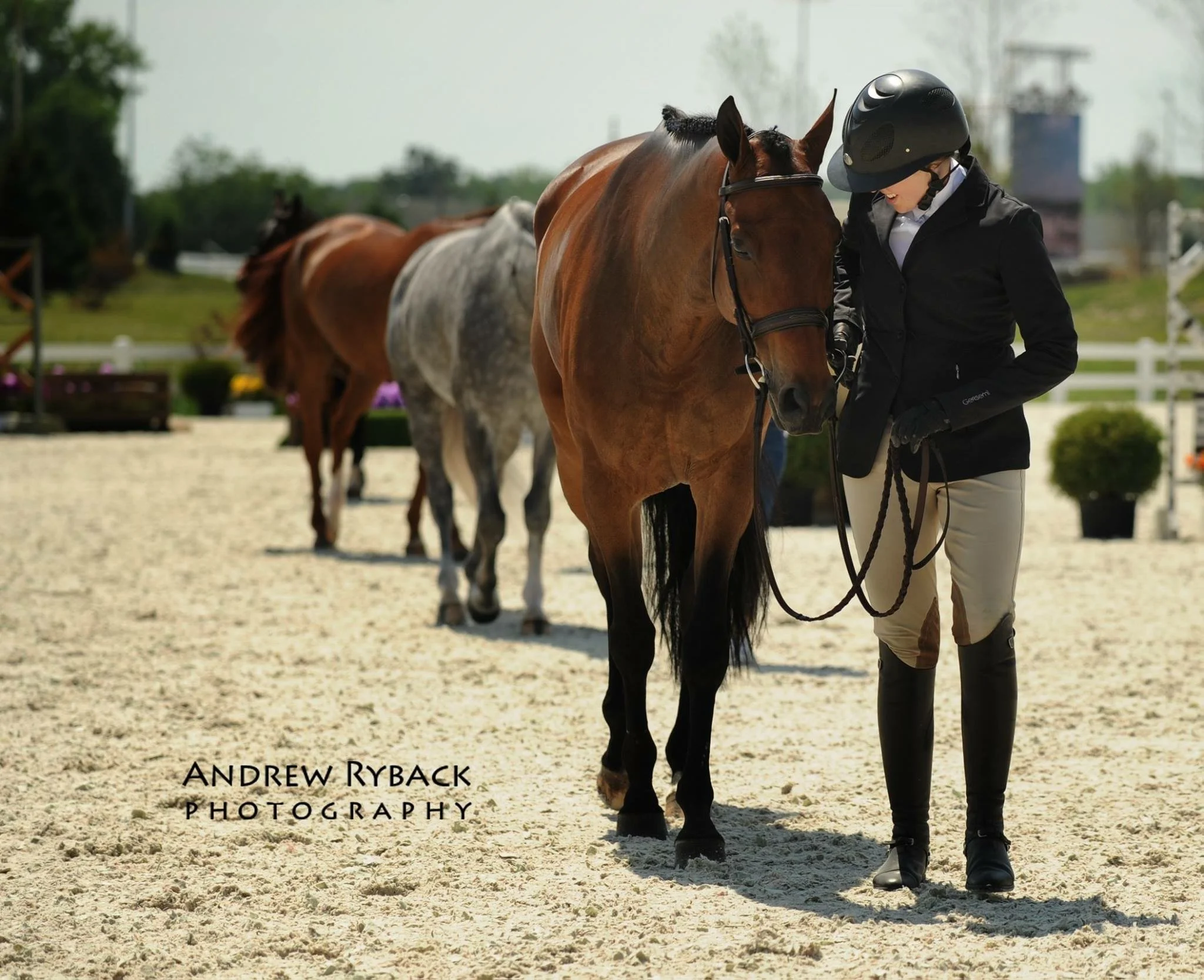 A woman in equestrian attire, wearing a helmet and black jacket, standing with a brown horse on a sandy arena, with other horses and obstacles in the background.