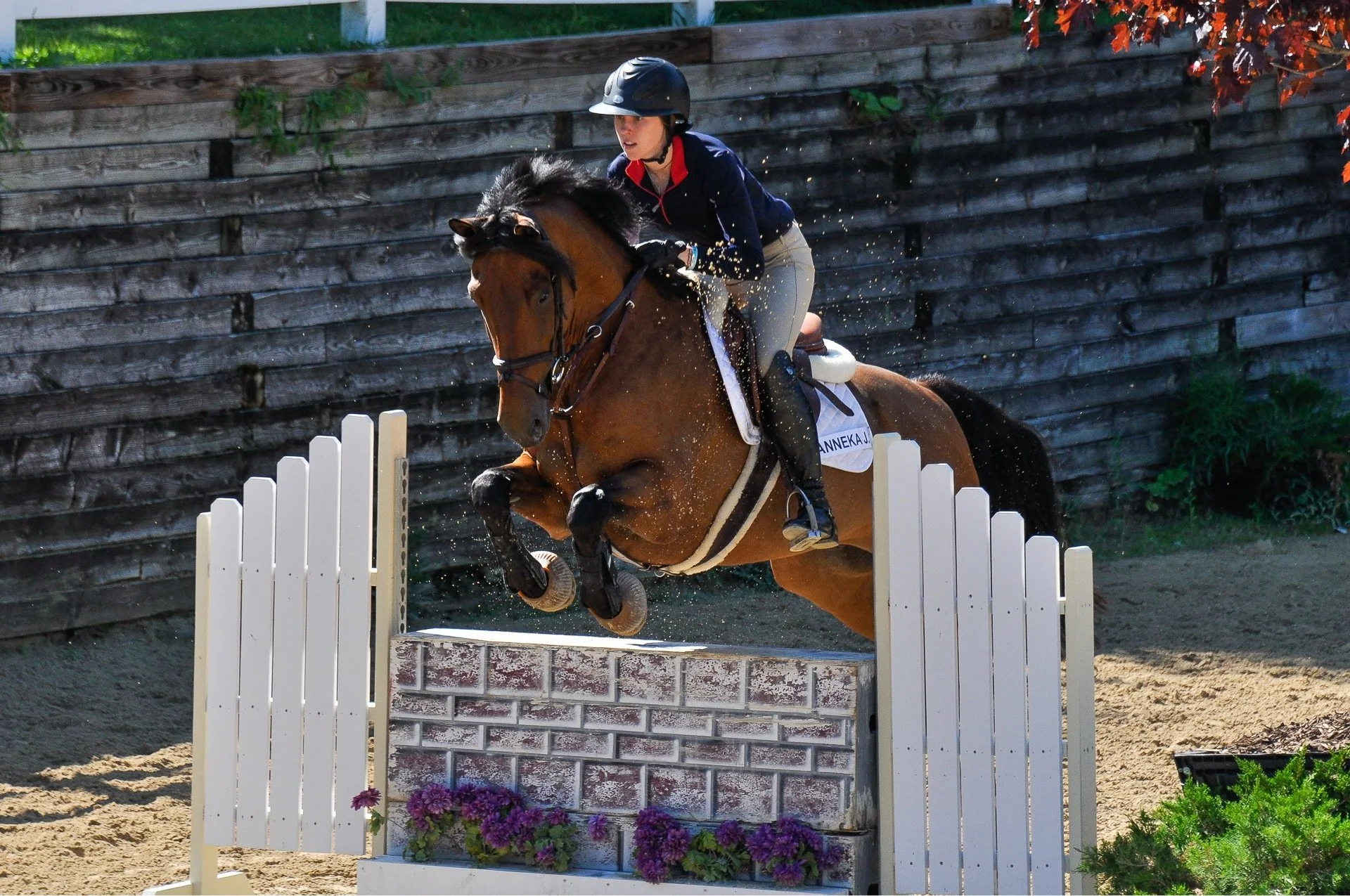 A female rider in a black helmet and navy jacket jumps a brown horse over a brick obstacle decorated with purple flowers during an equestrian show jumping event.