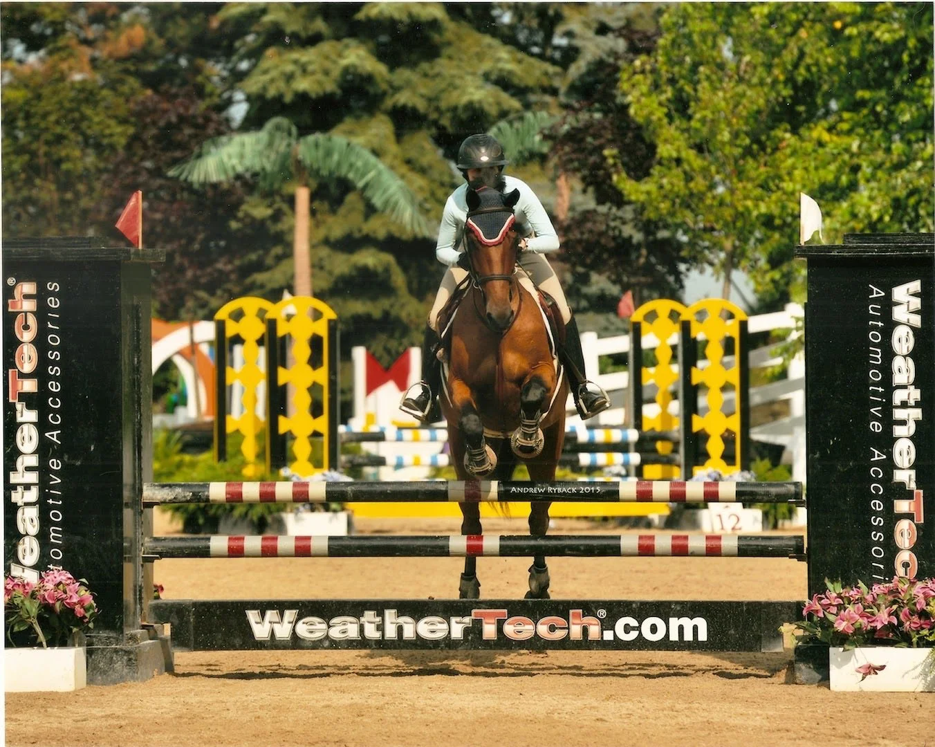 A female equestrian dressed in a helmet and riding attire, riding a brown horse jumping over a show jumping obstacle with red and white poles, during a competition on a sunny day with trees in the background.